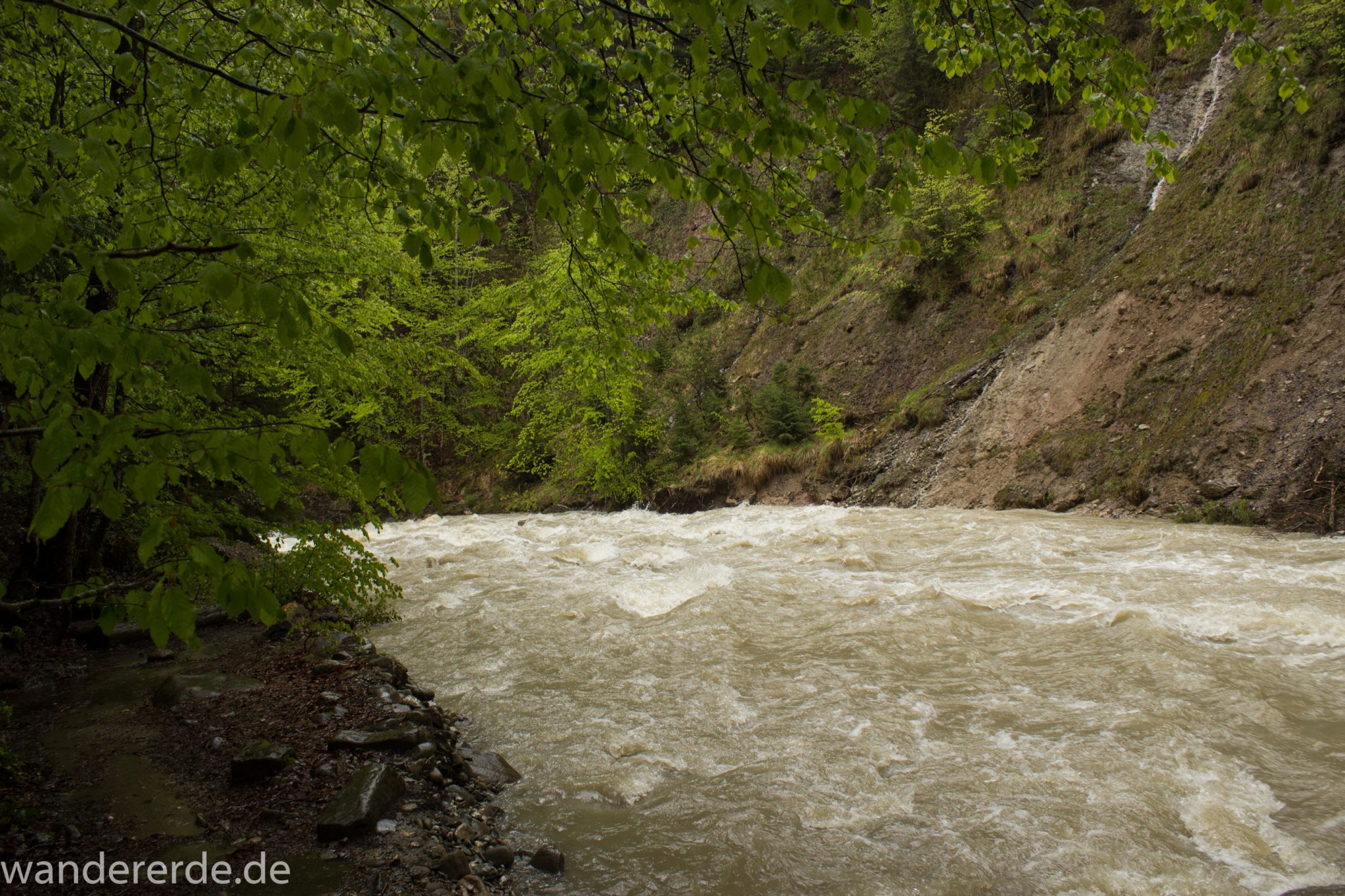 Wanderung Tobelweg ab Gunzesried im Allgäu, Ostertal Tobelweg ab Wanderparkplatz Gunzesrieder Säge wandern, abwechslungsreicher schmaler Pfad zum Ostertal, reißender Fluss nach starken Regenfällen, Fluss tritt beinahe über das Ufer, umgeben von Felsen und schönem, dichtem Mischwald