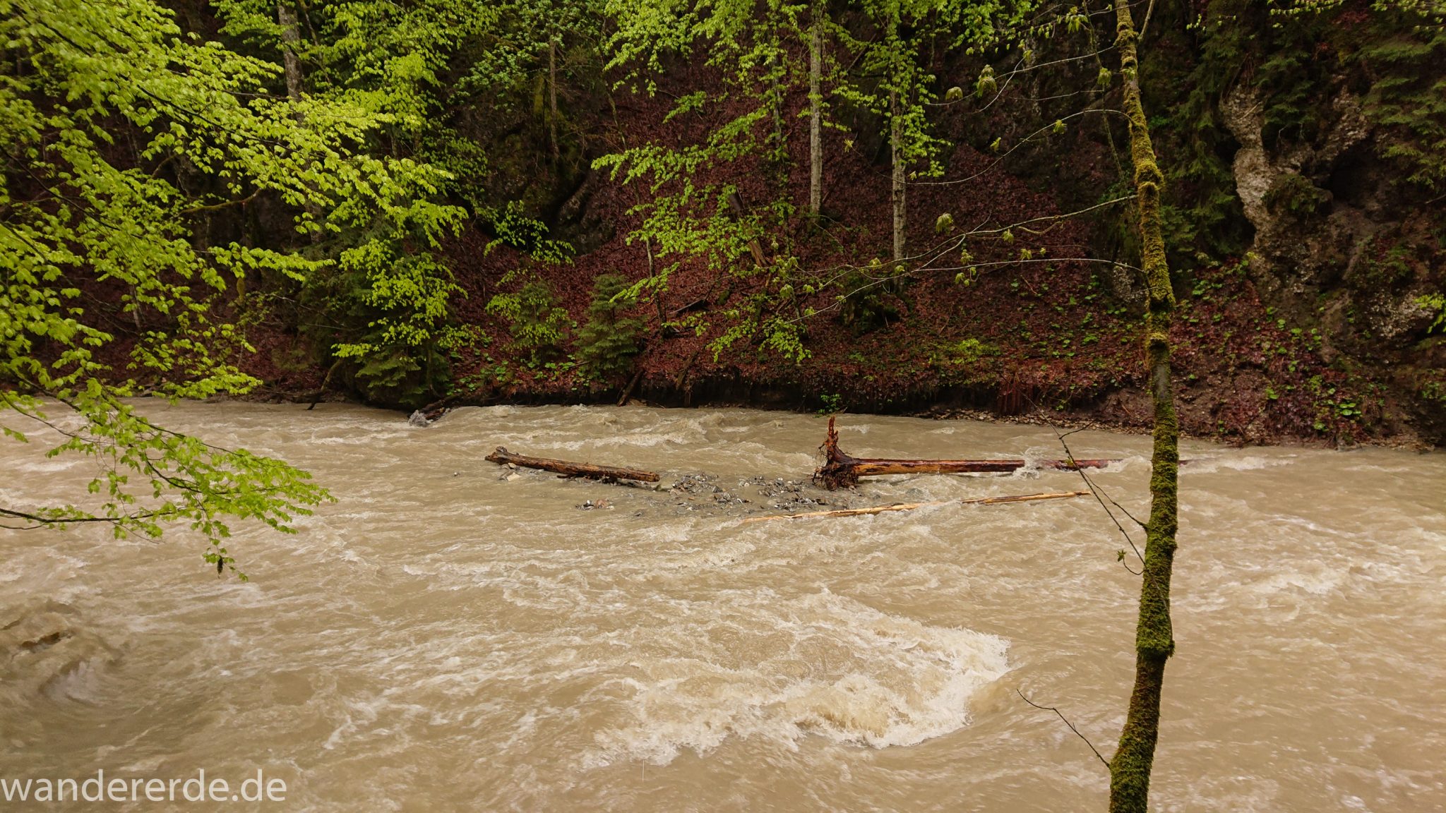 Wanderung Tobelweg ab Gunzesried im Allgäu, Ostertal Tobelweg ab Wanderparkplatz Gunzesrieder Säge wandern, abwechslungsreicher schmaler Pfad zum Ostertal, reißender Fluss nach starken Regenfällen, Fluss tritt beinahe über das Ufer, umgeben von Felsen und schönem, dichtem Mischwald