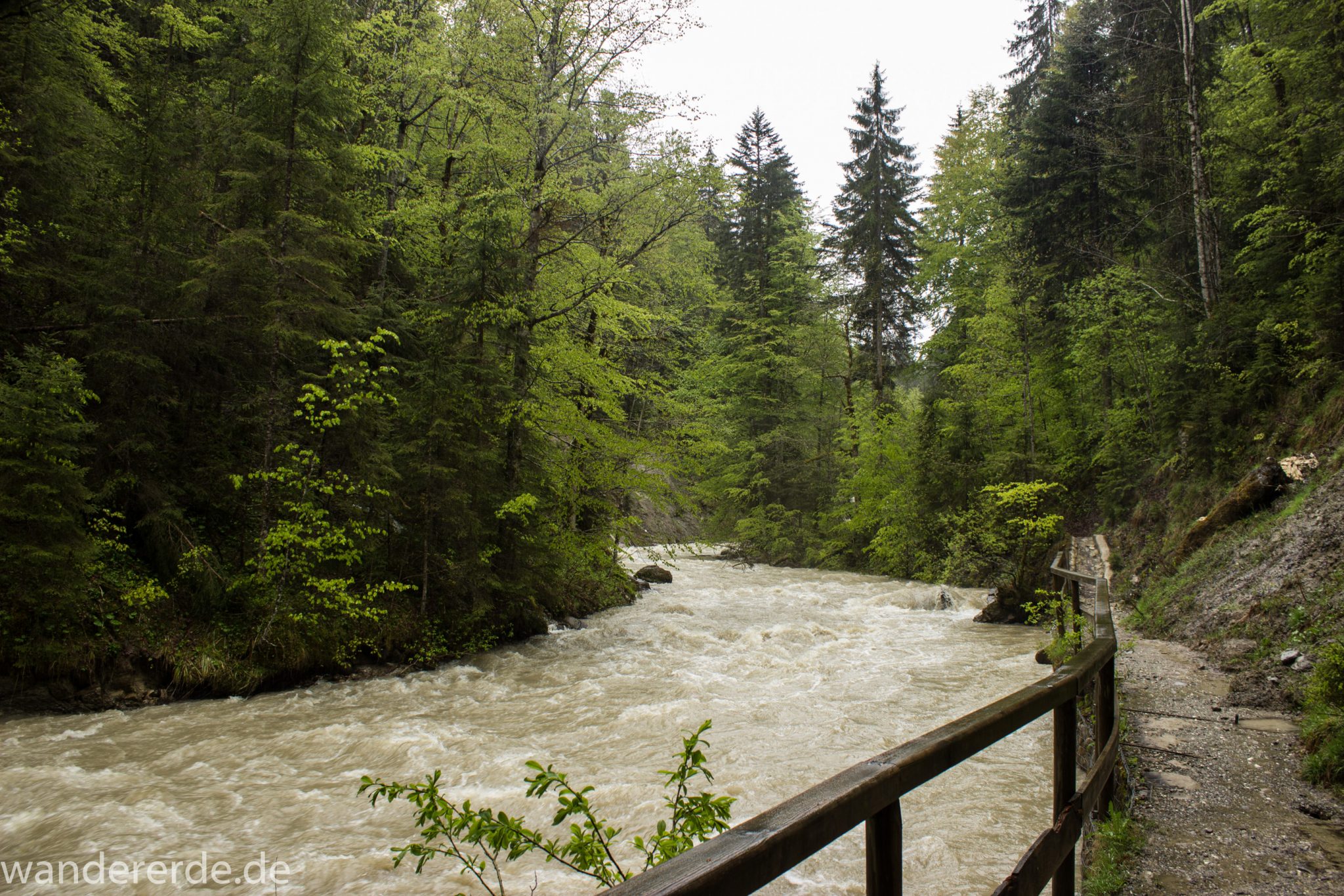Wanderung Tobelweg ab Gunzesried im Allgäu, Ostertal Tobelweg ab Wanderparkplatz Gunzesrieder Säge wandern, abwechslungsreicher schmaler Pfad zum Ostertal, reißender Fluss nach starken Regenfällen, Fluss tritt beinahe über das Ufer, umgeben von Felsen und schönem, dichtem Mischwald