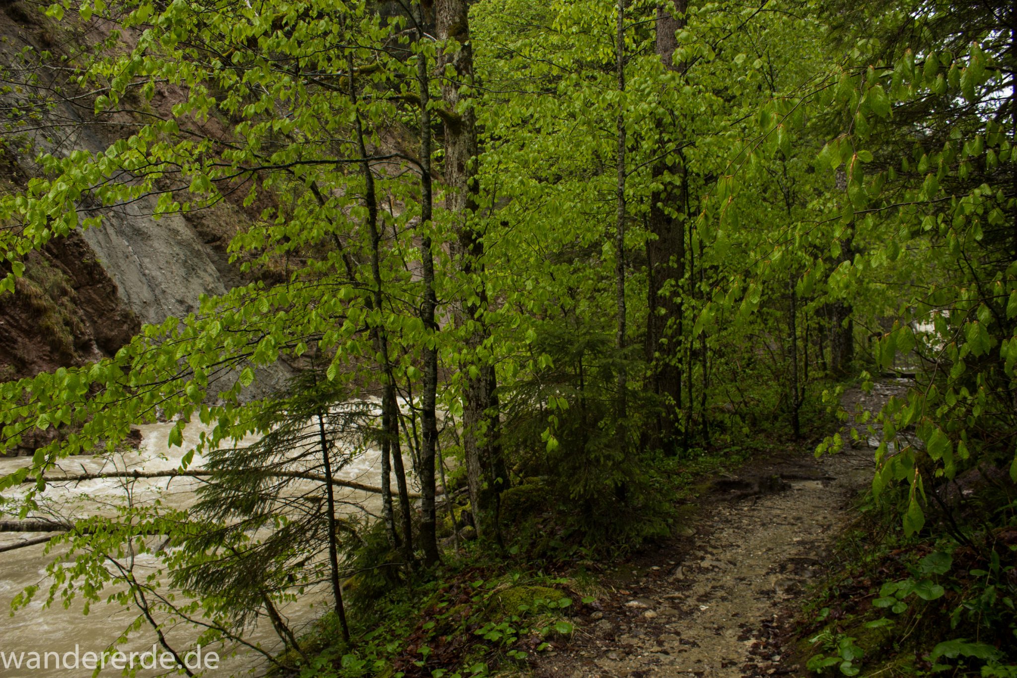 Wanderung Tobelweg ab Gunzesried im Allgäu, Ostertal Tobelweg ab Wanderparkplatz Gunzesrieder Säge wandern, abwechslungsreicher schmaler Pfad zum Ostertal, reißender Fluss nach starken Regenfällen, Fluss tritt beinahe über das Ufer, umgeben von Felsen und schönem, dichtem Mischwald