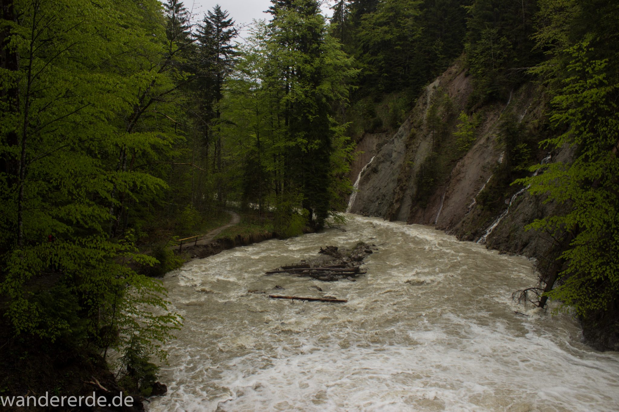 Wanderung Tobelweg ab Gunzesried im Allgäu, Ostertal Tobelweg ab Wanderparkplatz Gunzesrieder Säge wandern, abwechslungsreicher schmaler Pfad zum Ostertal, reißender Fluss nach starken Regenfällen, Fluss tritt beinahe über das Ufer, umgeben von Felsen und schönem, dichtem Mischwald