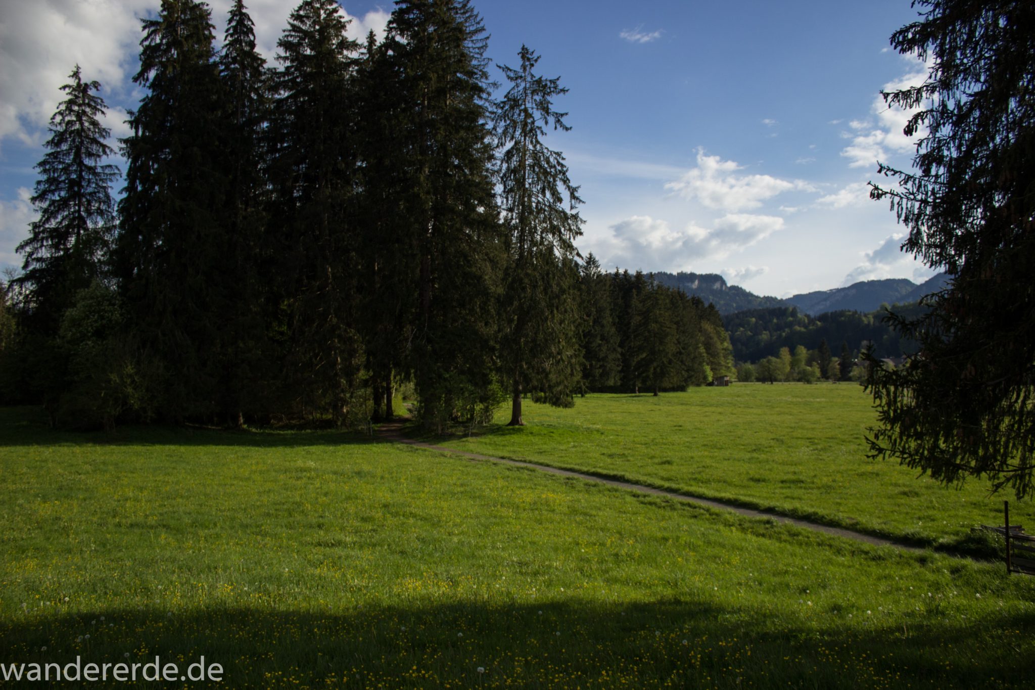 Wanderung Unterer Gaisalpsee, Abschnitt des Wanderwegs von Oberstdorf nach Fischen im Allgäu, Frühling im Allgäu, saftig grüne Wiesen und Wälder, schmale abwechslungsreicher Wanderpfad