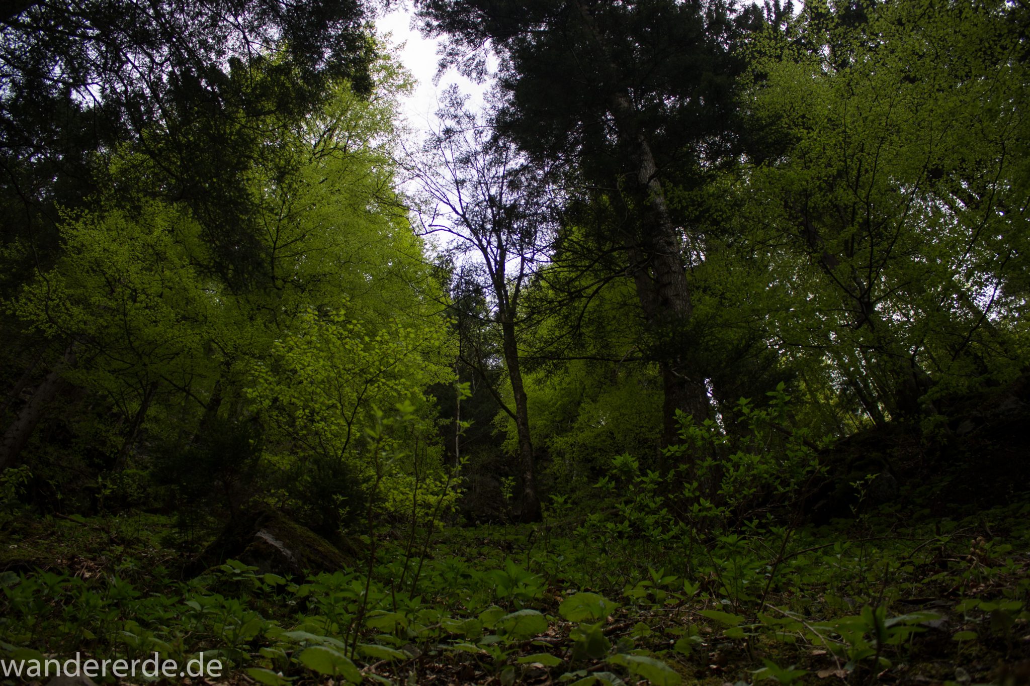 Wanderung Unterer Gaisalpsee, über Tobelweg zurück nach Oberstdorf, umgeben von schönem dichtem Mischwald, abwechselungsreicher sehr toller Wanderweg