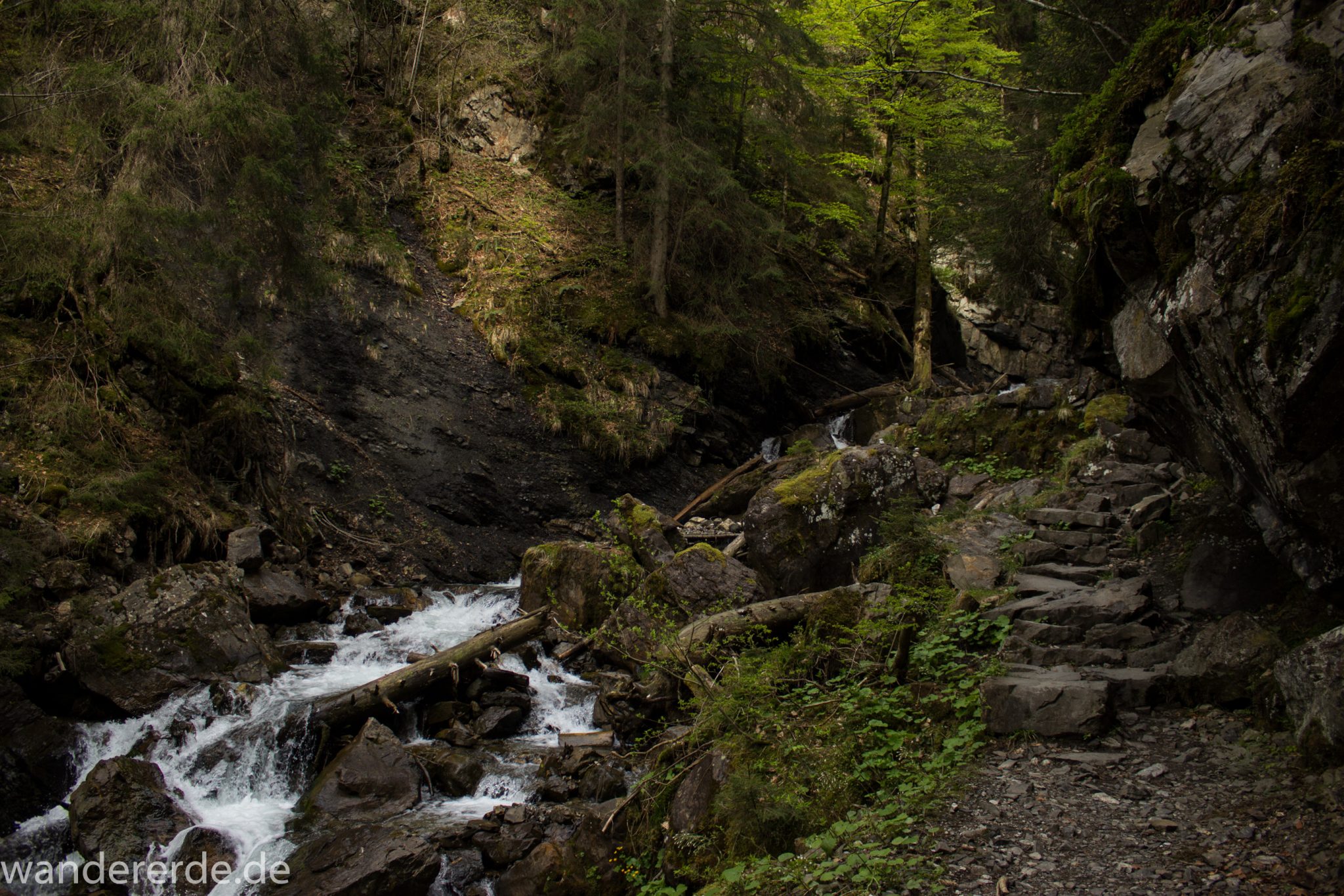Wanderung Unterer Gaisalpsee, über Tobelweg zurück nach Oberstdorf, schmaler Kiespfad beim Tobelweg, kleine Schlucht, über Brücken und Treppen, teils steil und felsig abwärts, umgeben von schönem dichtem Mischwald, abwechselungsreicher sehr toller Wanderweg am Wasser entlang