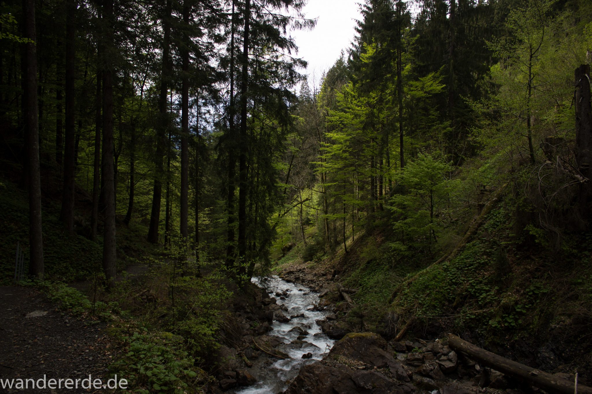 Wanderung Unterer Gaisalpsee, über Tobelweg zurück nach Oberstdorf, schmaler Kiespfad beim Tobelweg, kleine Schlucht, über Brücken und Treppen, teils steil und felsig abwärts, umgeben von schönem dichtem Mischwald, abwechselungsreicher sehr toller Wanderweg am Wasser entlang