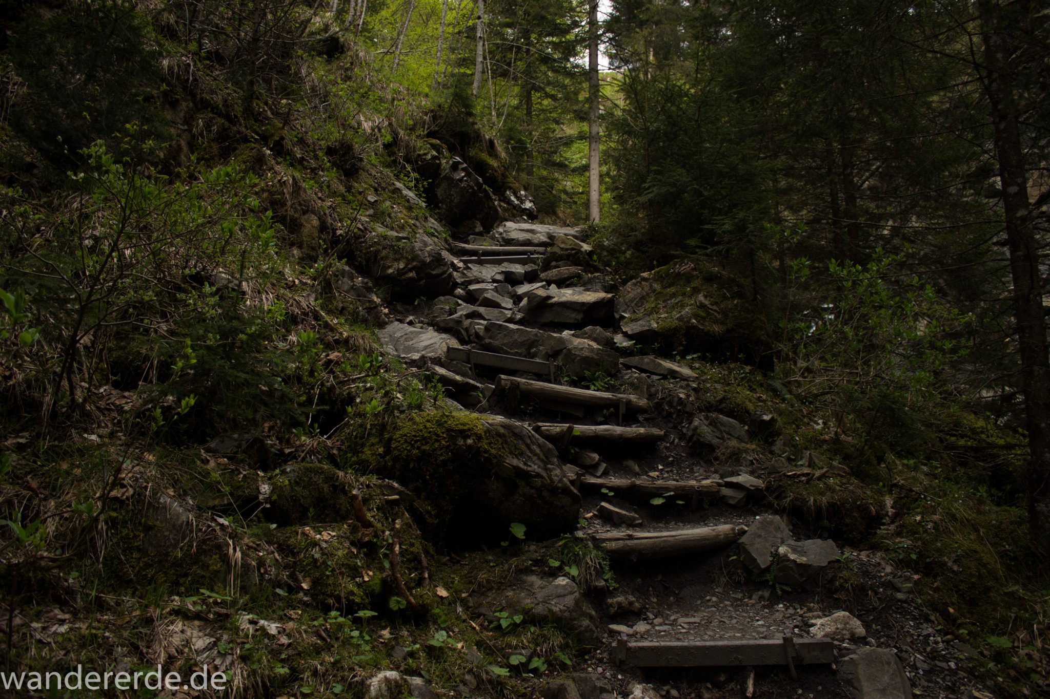 Wanderung Unterer Gaisalpsee, über Tobelweg zurück nach Oberstdorf, steile Treppe beim Tobelweg abwärts, umgeben von schönem dichtem Mischwald, abwechselungsreicher Wanderweg