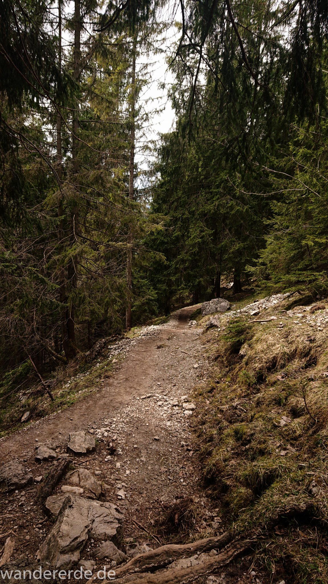 Wanderung Unterer Gaisalpsee, Wanderweg von Oberstdorf im Allgäu, schmalerer Kiespfad wird zunehmend steil und felsig, umgeben von schönem dichtem Mischwald