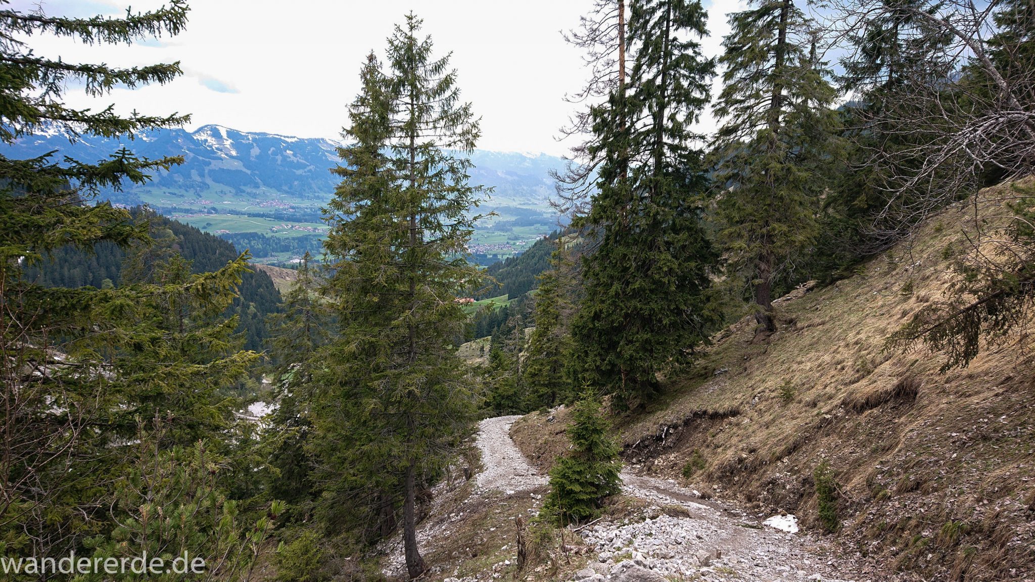 Wanderung Unterer Gaisalpsee, Wanderweg von Oberstdorf im Allgäu, schmalerer Kiespfad wird zunehmend steil und felsig, umgeben von schönem dichtem Mischwald, Blick auf Allgäuer Berge