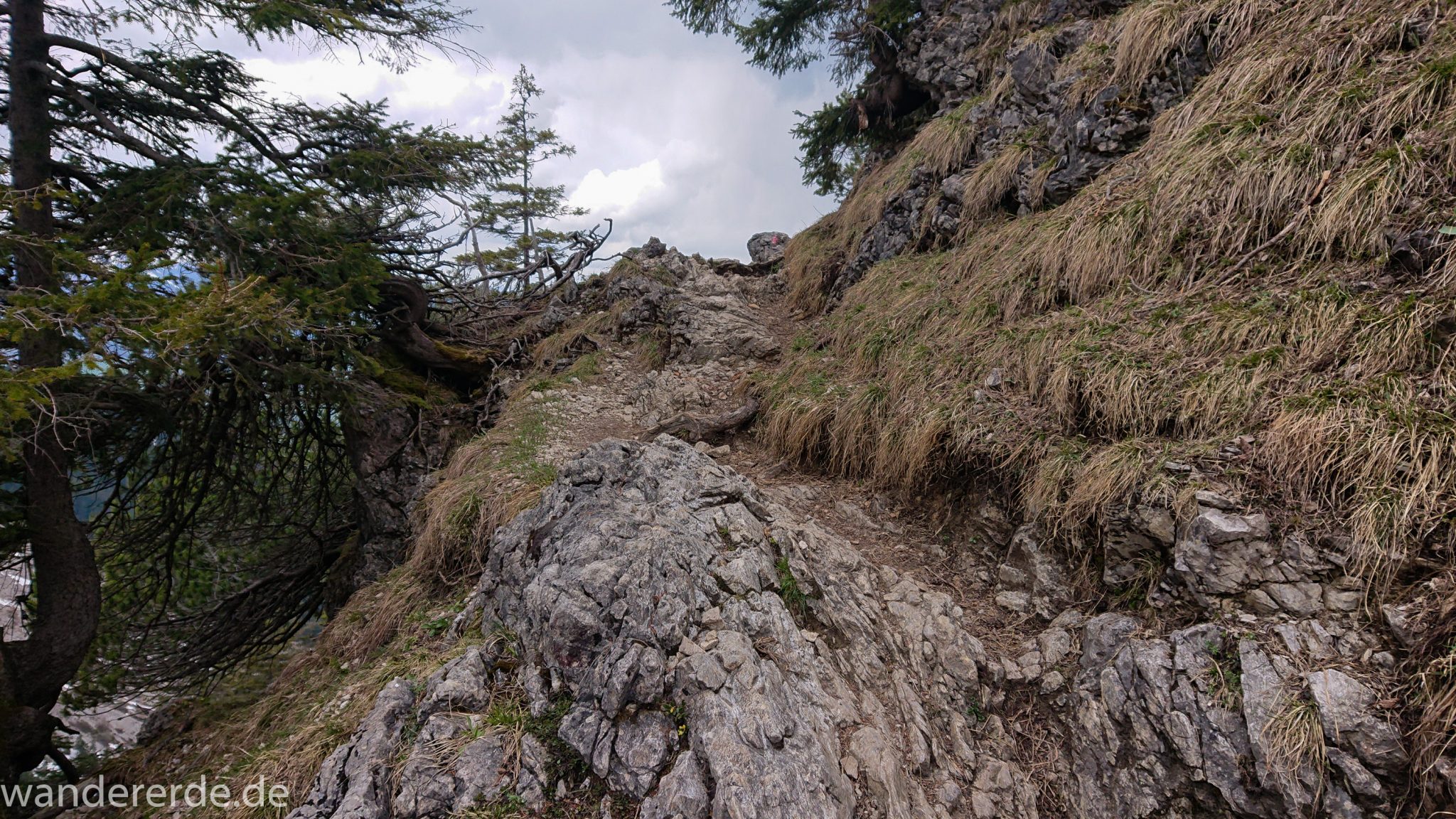 Wanderung Unterer Gaisalpsee, Wanderweg von Oberstdorf im Allgäu, Wanderpfad wird zunehmend schmaler, steil und felsig, teilweise sehr große Schritte notwendig um auf nächsten Fels zu kommen, weniger Bäume