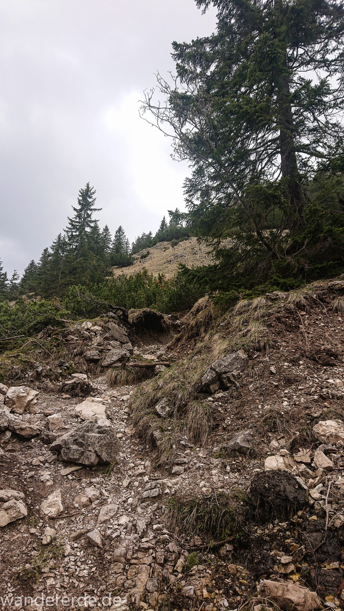 Wanderung Unterer Gaisalpsee, Wanderweg von Oberstdorf im Allgäu, Wanderpfad wird zunehmend schmaler, steil und felsig, umgeben von schönem dichtem Mischwald