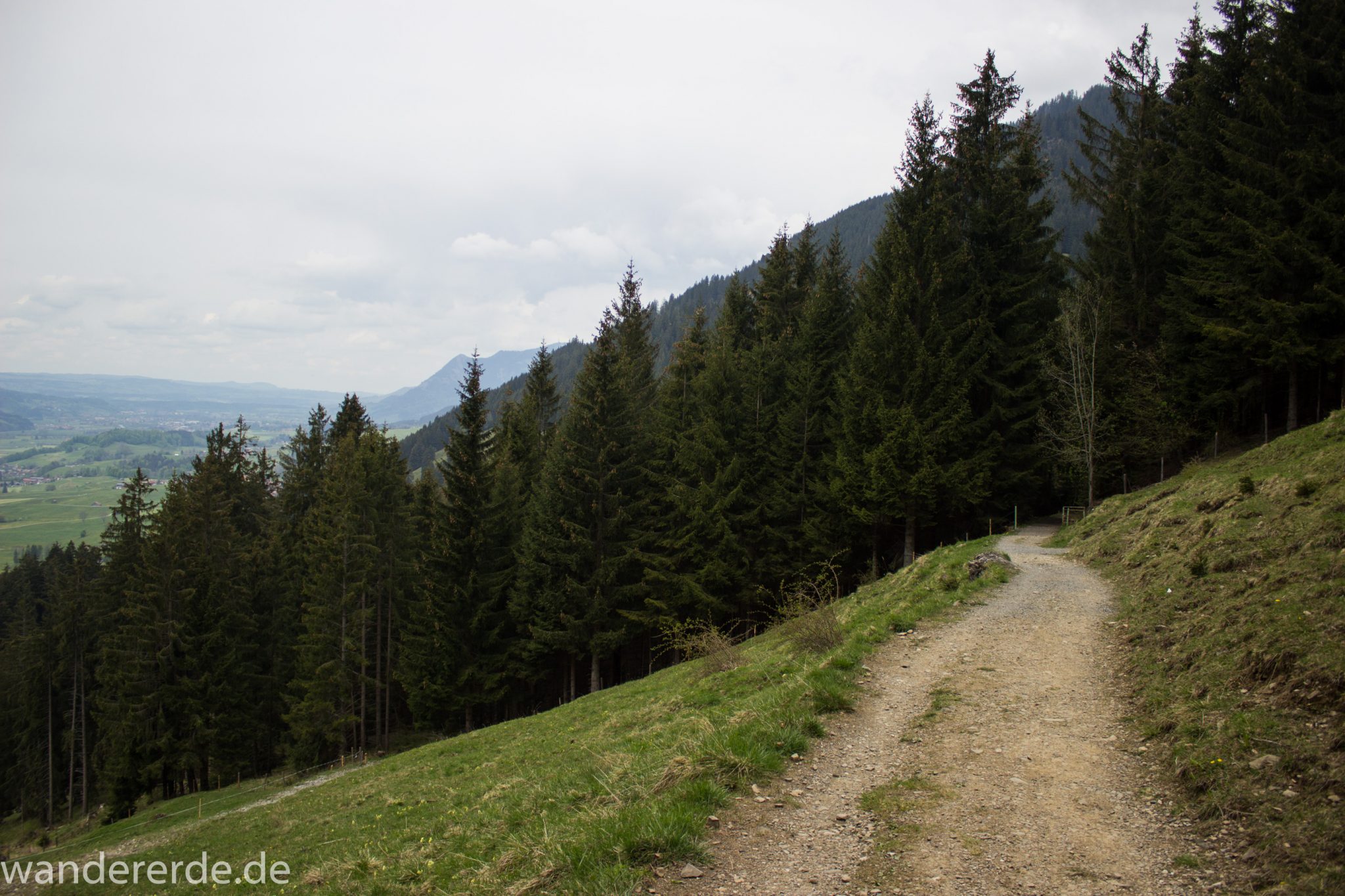 Wanderung Unterer Gaisalpsee, Wanderweg von Oberstdorf im Allgäu, schmalerer Kiespfad wird zunehmend steil und felsig, umgeben von schönem dichtem Mischwald