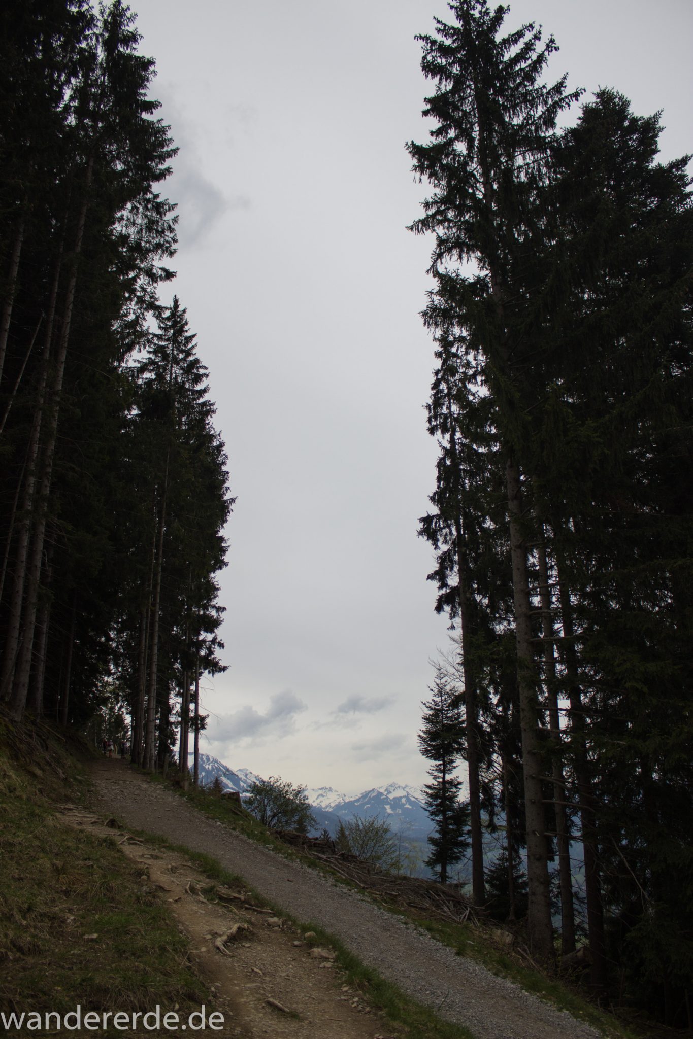 Wanderung Unterer Gaisalpsee, Wanderweg von Oberstdorf im Allgäu, schmalerer Kiespfad wird zunehmend steil und felsig, umgeben von schönem dichtem Mischwald, Blick auf Allgäuer Berge in der Ferne