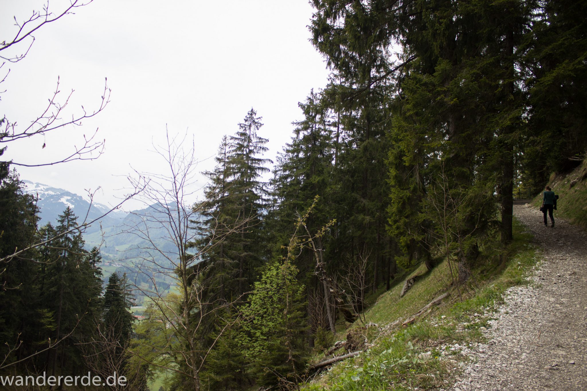 Wanderung Unterer Gaisalpsee, Wanderweg von Oberstdorf im Allgäu, schmalerer Kiespfad wird zunehmend steil und felsig, umgeben von schönem dichtem Mischwald, Blick auf Allgäuer Berge