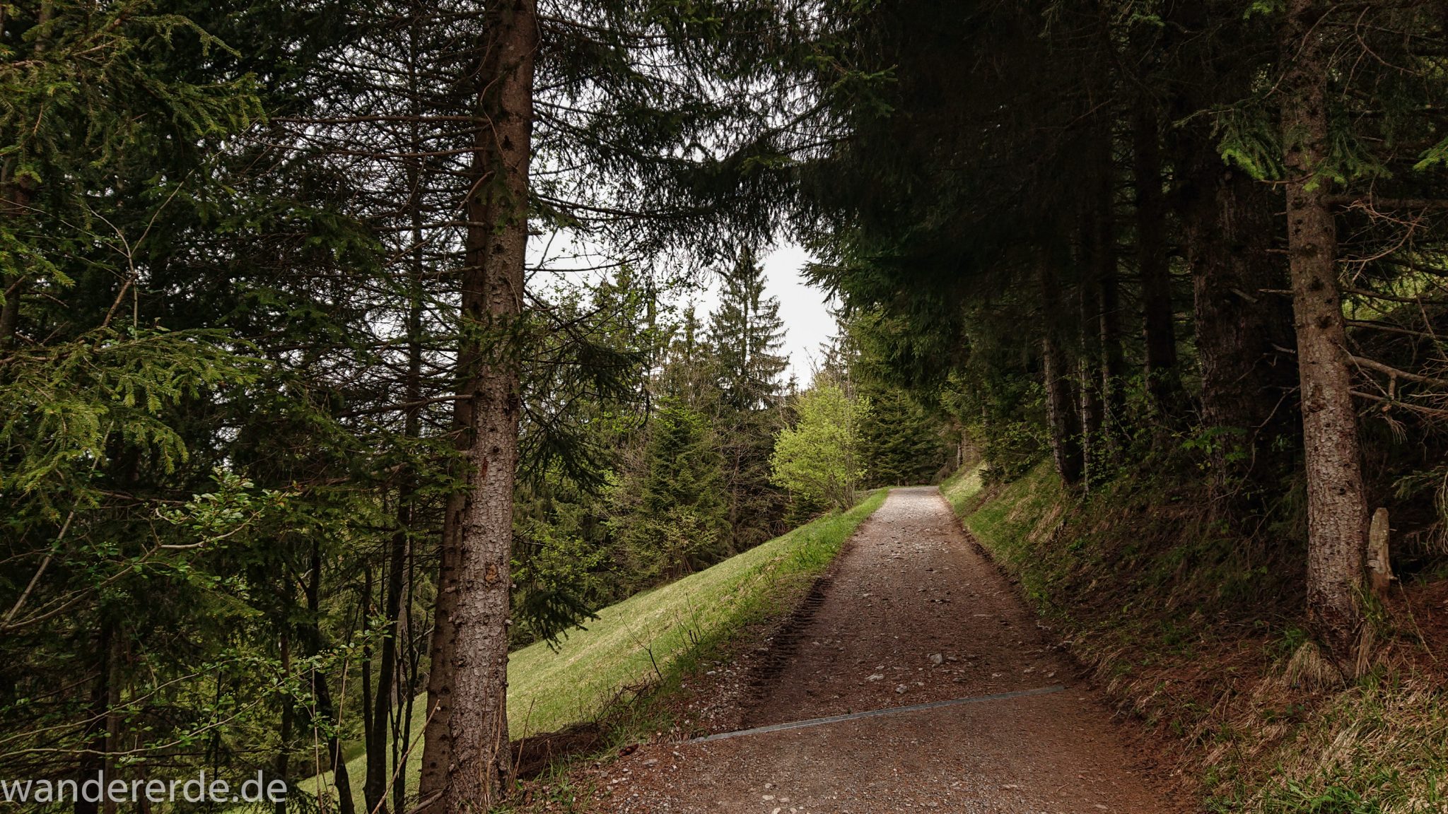 Wanderung Unterer Gaisalpsee, Wanderweg bei Oberstdorf im Allgäu ist zunächst alphaltiert, danach wieder schmalerer Kiespfad, umgeben von schönem dichtem Mischwald