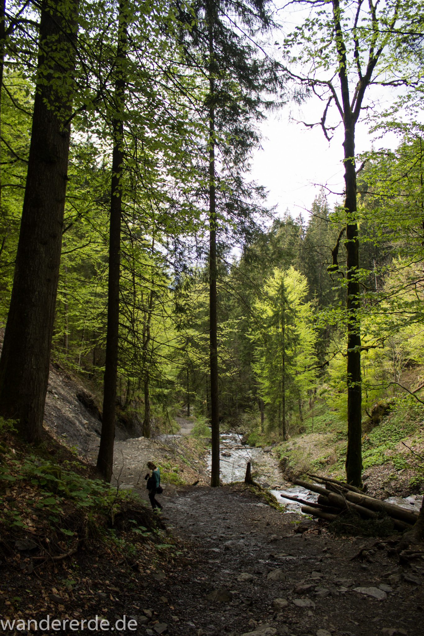 Wanderung Unterer Gaisalpsee, über Tobelweg zurück nach Oberstdorf, schmaler Kiespfad beim Tobelweg, kleine Schlucht, über Brücken und Treppen, teils steil und felsig abwärts, umgeben von schönem dichtem Mischwald, abwechselungsreicher sehr toller Wanderweg am Wasser entlang