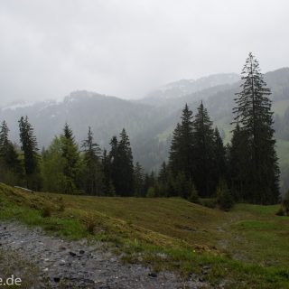 Wandern Gunzesrieder Ostertal im Allgäu, Baden-Württemberg, Obere Älple, viel Regen, dunkle Wolken, saftig grüner Wald, Wanderweg Kieselstraße, schöne Atmosphäre und Aussicht