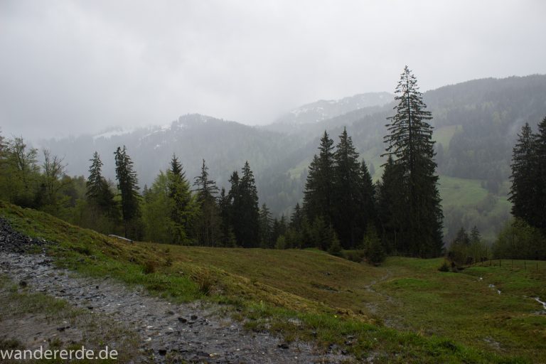 Wandern Gunzesrieder Ostertal im Allgäu, Baden-Württemberg, Obere Älple, viel Regen, dunkle Wolken, saftig grüner Wald, Wanderweg Kieselstraße, schöne Atmosphäre und Aussicht