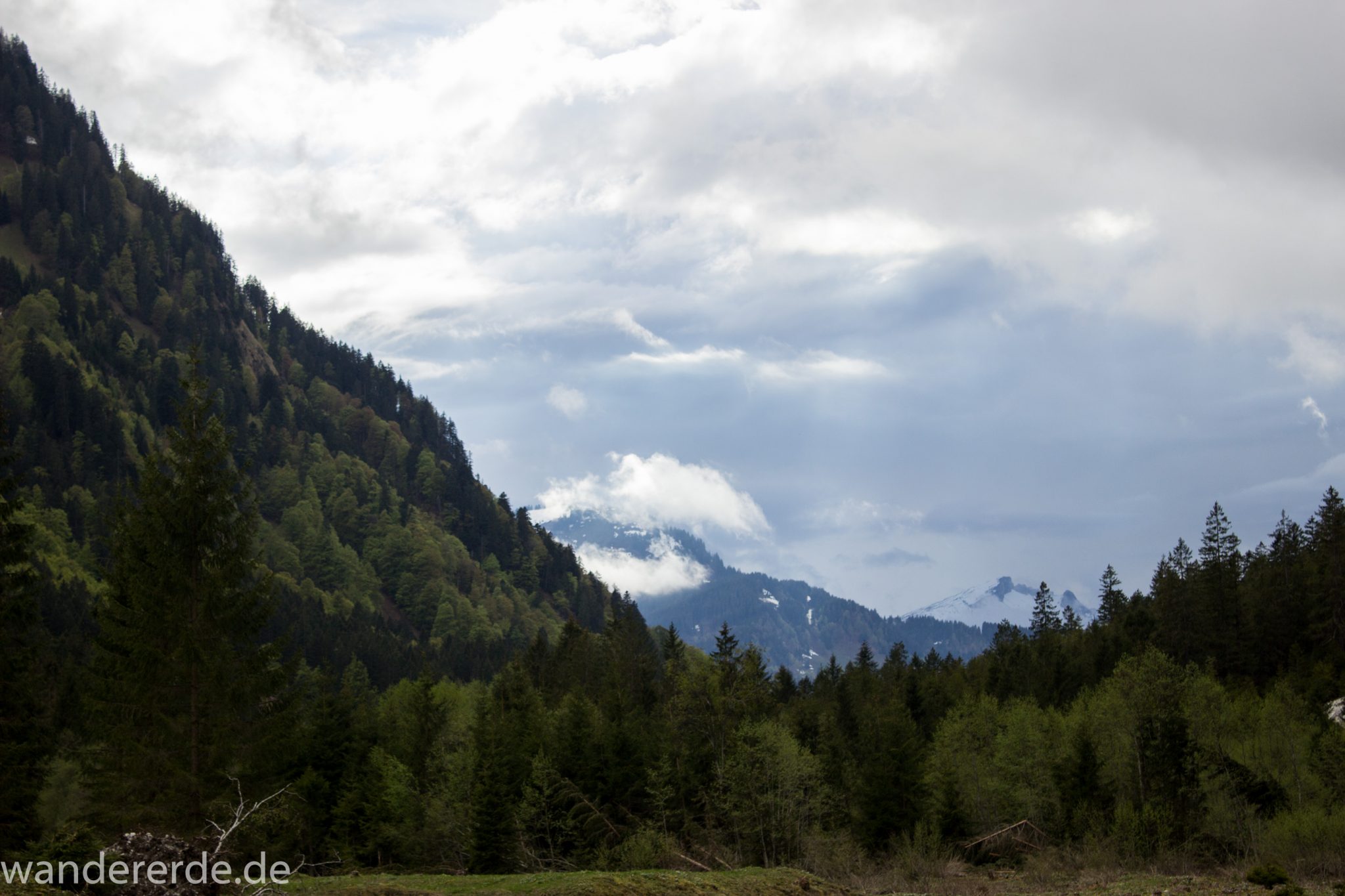 Wanderung im Oytal bei Oberstdorf im Allgäu, Bayern, schöner dichter und grüner Wald umgibt den Oybach im Oytal, Berge säumen den Wanderweg durch das Oytal, sehr schöne Atmosphäre, saftig grüne Wiesen