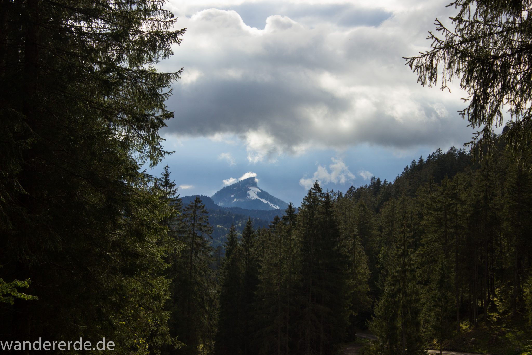 Wanderung im Oytal bei Oberstdorf im Allgäu, Bayern, schöner dichter und grüner Wald im Trettachtal Richtung Oberstdorf, sehr schöne Atmosphäre, Aussicht auf schneebedeckte Berge