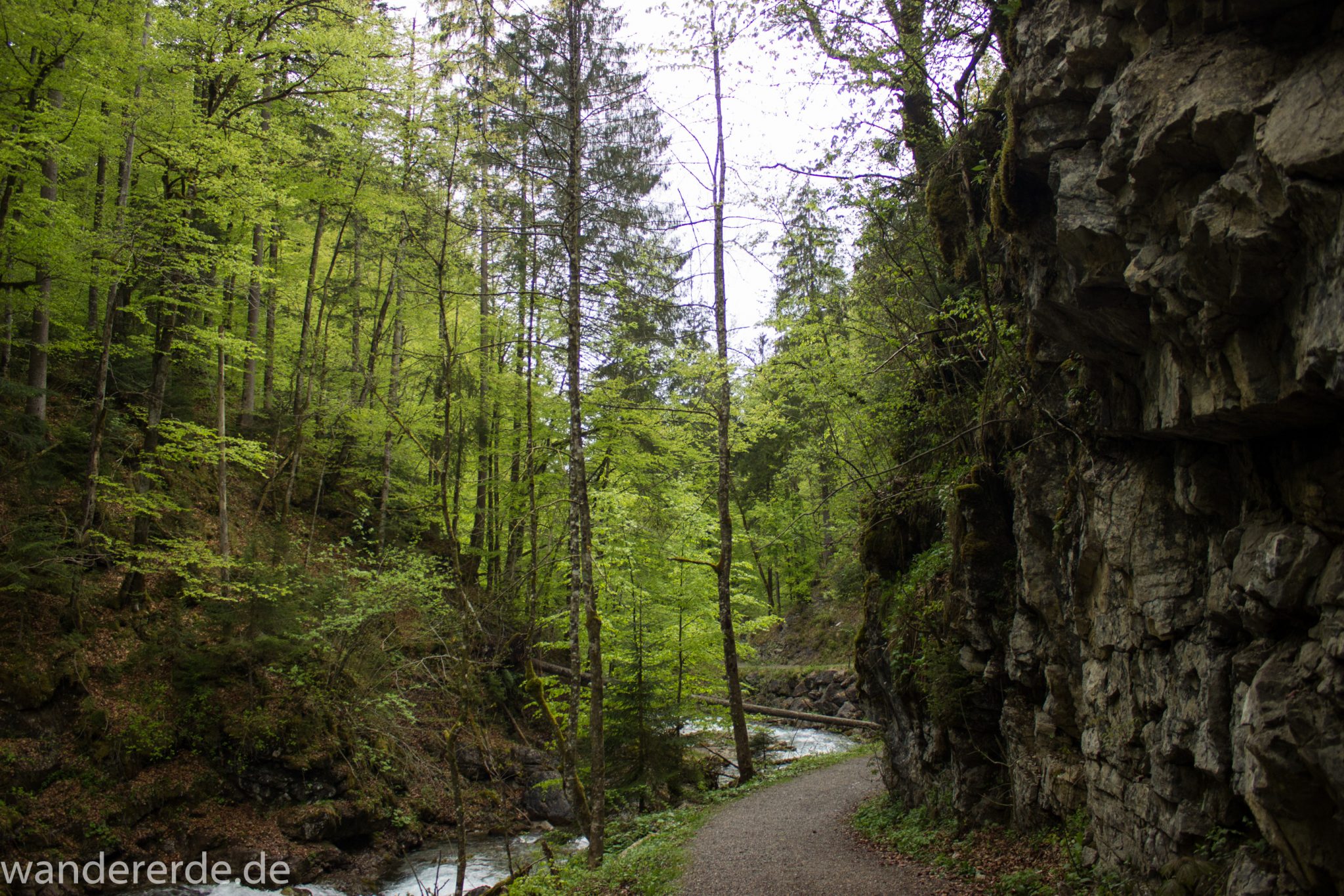 Wanderung im Oytal bei Oberstdorf im Allgäu, Bayern, schöner dichter und grüner Wald umgibt den Oybach im Oytal, Felsen säumen den Wanderweg, sehr schöne Atmosphäre