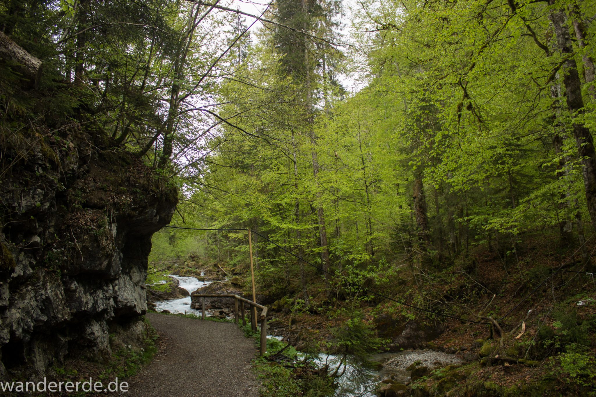 Wanderung im Oytal bei Oberstdorf im Allgäu, Bayern, schöner dichter und grüner Wald umgibt den Oybach im Oytal, Felsen säumen den Wanderweg, sehr schöne Atmosphäre