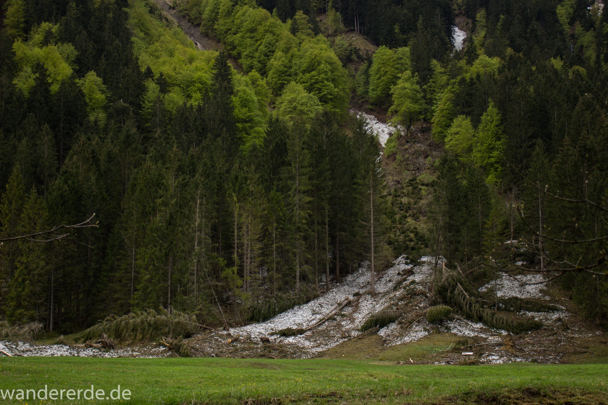 Wanderung im Oytal bei Oberstdorf im Allgäu, Bayern, schöner dichter und grüner Wald im Oytal, Wanderweg umgeben von Bergen, sehr schöne Atmosphäre, saftige Wiesen und Bäume
