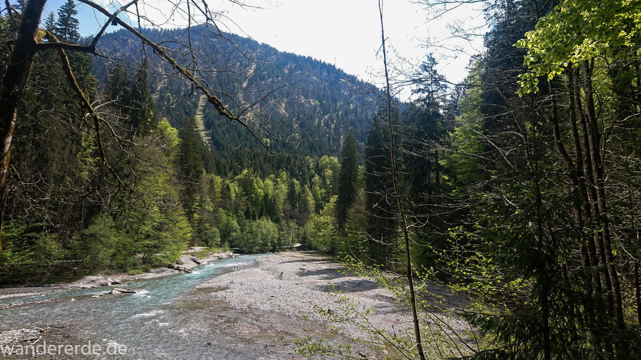 Wanderung Oberstdorf nach Gerstruben im Allgäu, Bayern, Wanderweg durch das Trettachtal, Aussicht auf Berge und Fluß Trettach, Ufer mit schönen Bäumen, sattgrüner Wald, Frühling in den Bergen