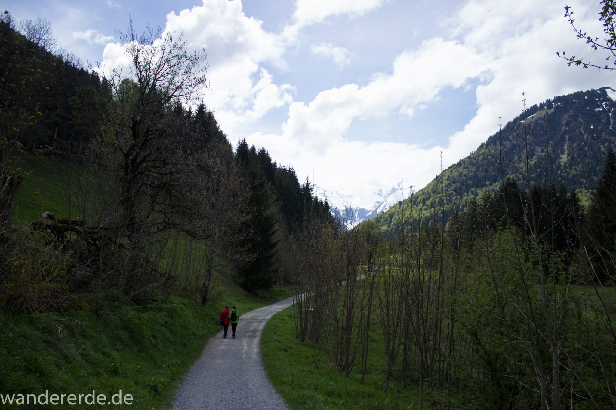 Wanderung Oberstdorf nach Gerstruben im Allgäu, Bayern, Wanderweg durch das Trettachtal, Aussicht auf Berge, Ufer mit schönen Bäumen, sattgrüner Wald, Frühling in den Bergen