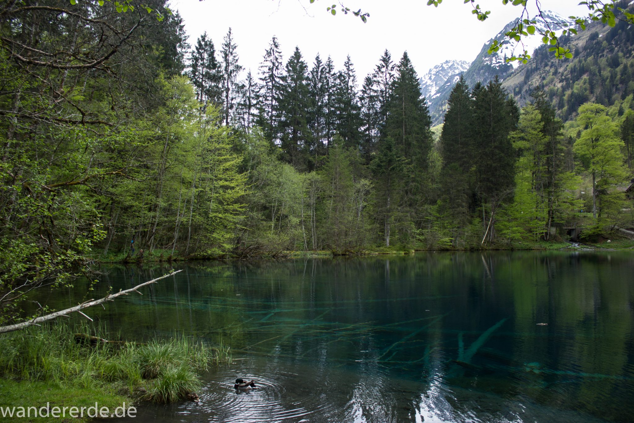 Wanderung Oberstdorf nach Gerstruben im Allgäu, Bayern, Wanderweg durch das Trettachtal zum Christlessee, kristallklares Wasser im kleinen See, Aussicht auf umliegende Berge, Ufer mit schönen Bäumen, sattgrüne Wälder, Frühling in den Bergen