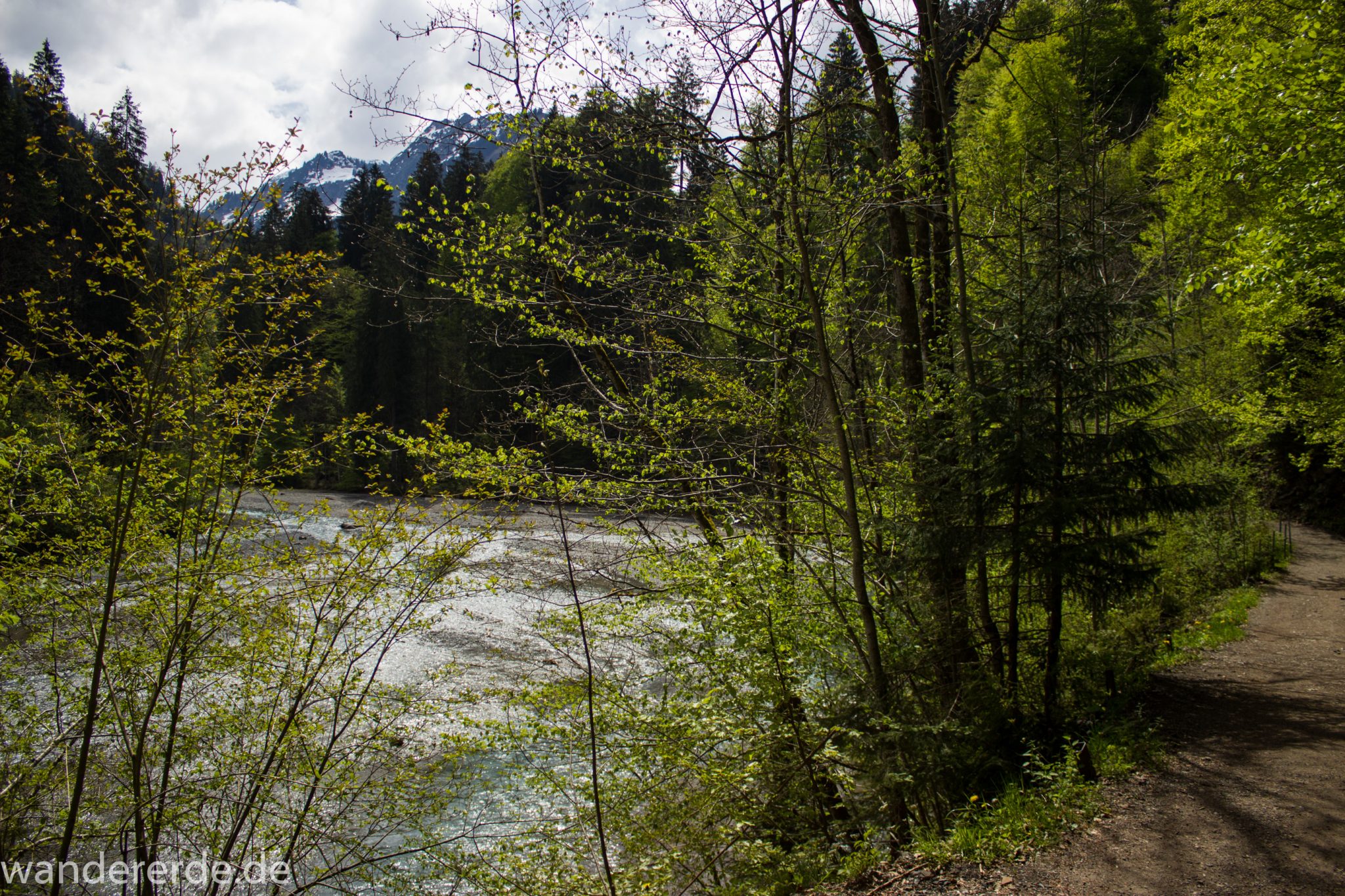 Wanderung Oberstdorf nach Gerstruben im Allgäu, Bayern, Wanderweg durch das Trettachtal, Aussicht auf Berge und Fluß Trettach, Ufer mit schönen Bäumen, sattgrüner Wald, Frühling in den Bergen