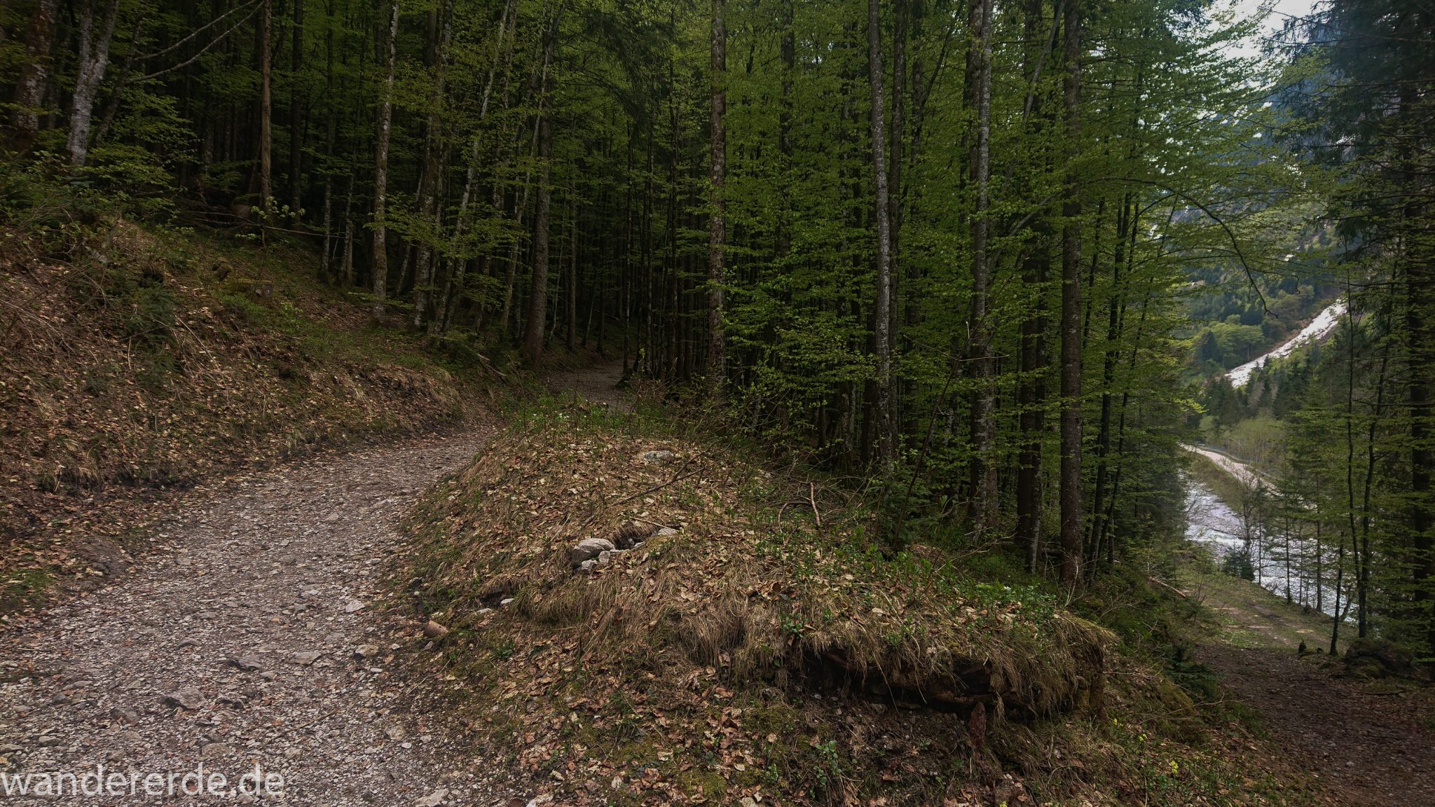 Wanderung Oberstdorf nach Gerstruben im Allgäu, Bayern, Wanderweg Rautweg führt durch schönen dichten Wald