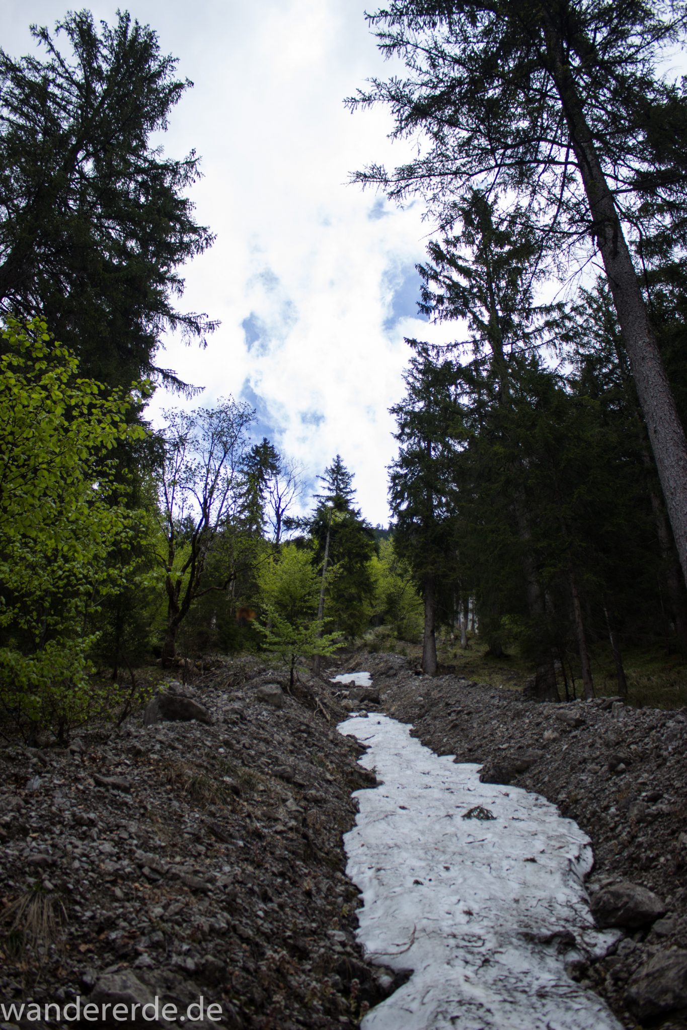 Wanderung Oberstdorf nach Gerstruben im Allgäu, Bayern, Wanderweg Rautweg führt durch schönen dichten Wald, ziemlich steil, kaum noch Menschen begegnen uns, teilweise Schneefelder im Frühjahr in den Bergen, schöner sattgrüner und dichter Wald