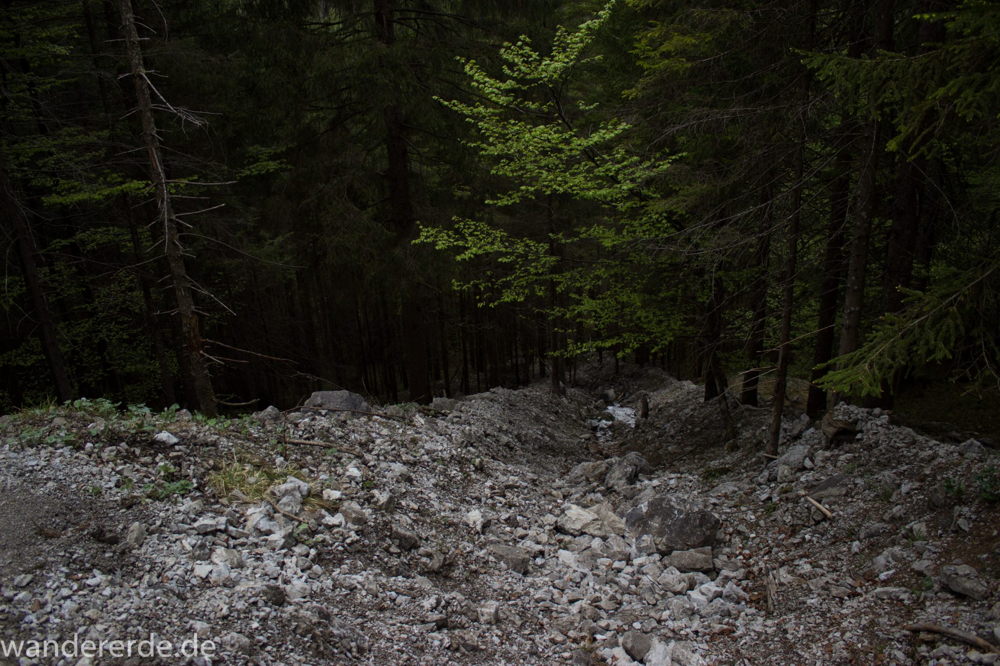 Wanderung Oberstdorf nach Gerstruben im Allgäu, Bayern, Wanderweg Rautweg führt durch schönen dichten Wald, ziemlich steiler und grober Weg, feste Schuhe empfehlenswert, kaum noch Menschen begegnen uns, teilweise Schneefelder im Frühjahr in den Bergen, schöner sattgrüner und dichter Wald
