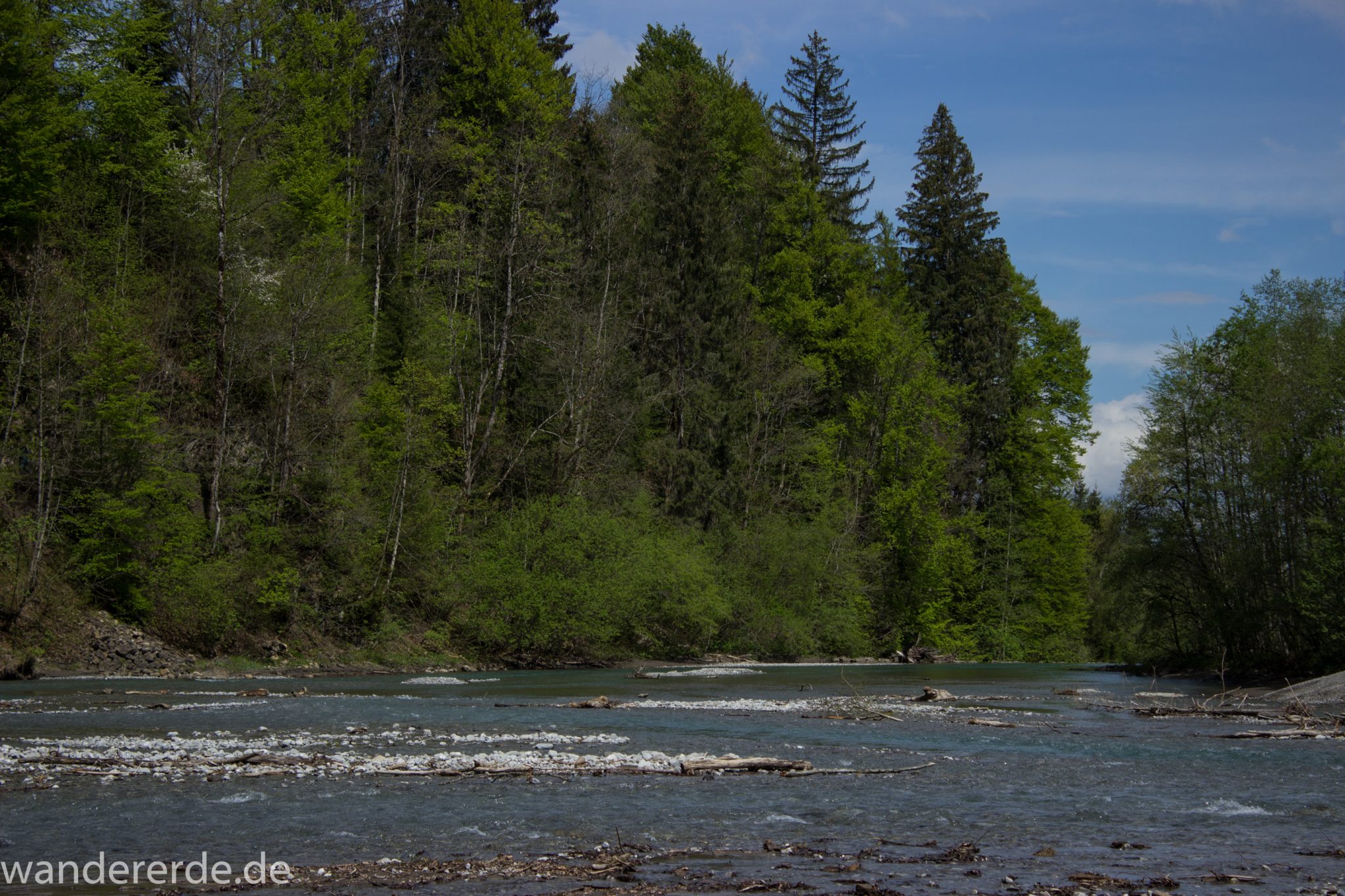 Wanderung Oberstdorf nach Gerstruben im Allgäu, Bayern, Wanderweg durch das Trettachtal, Aussicht auf Fluß Trettach, Ufer mit schönen Bäumen, sattgrüner Wald, Frühling in den Bergen
