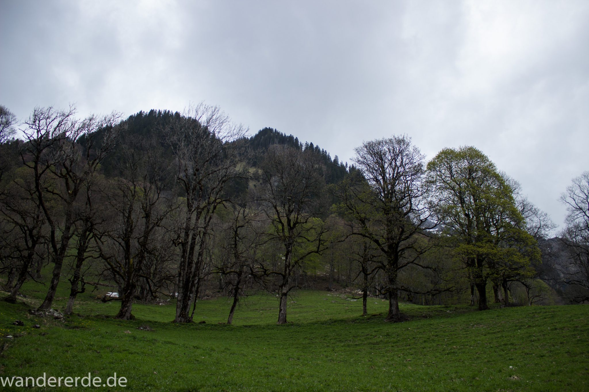 Wanderung Oberstdorf nach Gerstruben im Allgäu, Bayern, Wanderweg Rautweg führt zu schöner Ebene in den Allgäuer Alpen, kaum noch Menschen begegnen uns, grüner Wald und saftig grüne Wiesen, beeindruckende Aussicht auf umliegende Berge