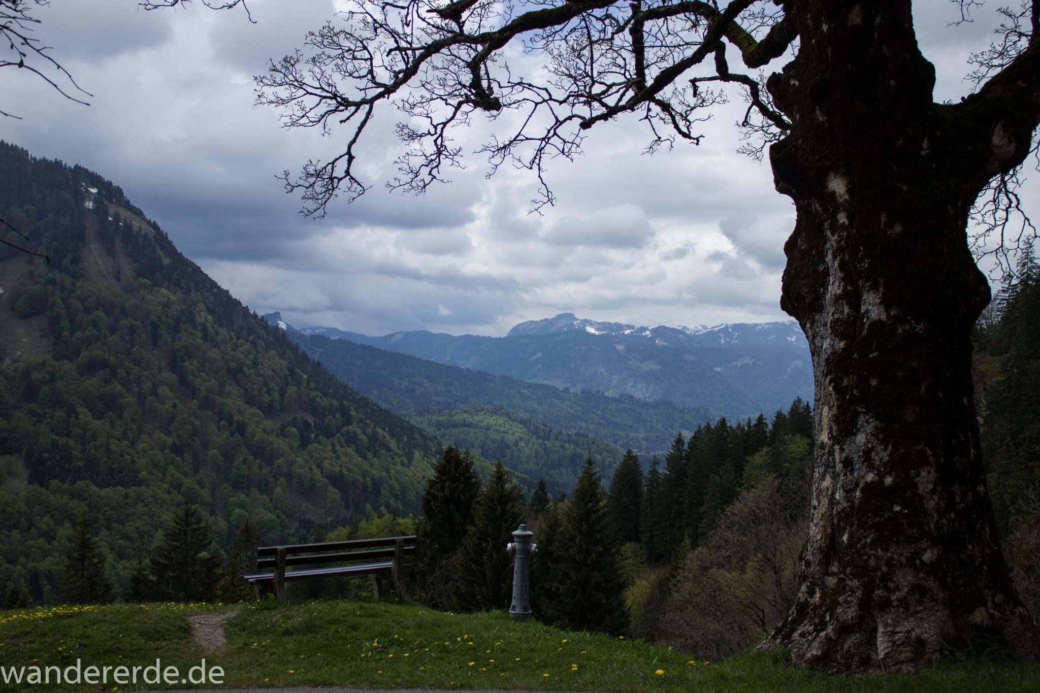 Wanderung Oberstdorf nach Gerstruben im Allgäu, Bayern, Wanderweg Rautweg führt zu schöner Ebene in den Allgäuer Alpen, kaum noch Menschen begegnen uns, grüner Wald und saftig grüne Wiesen, beeindruckende Aussicht auf umliegende Berge