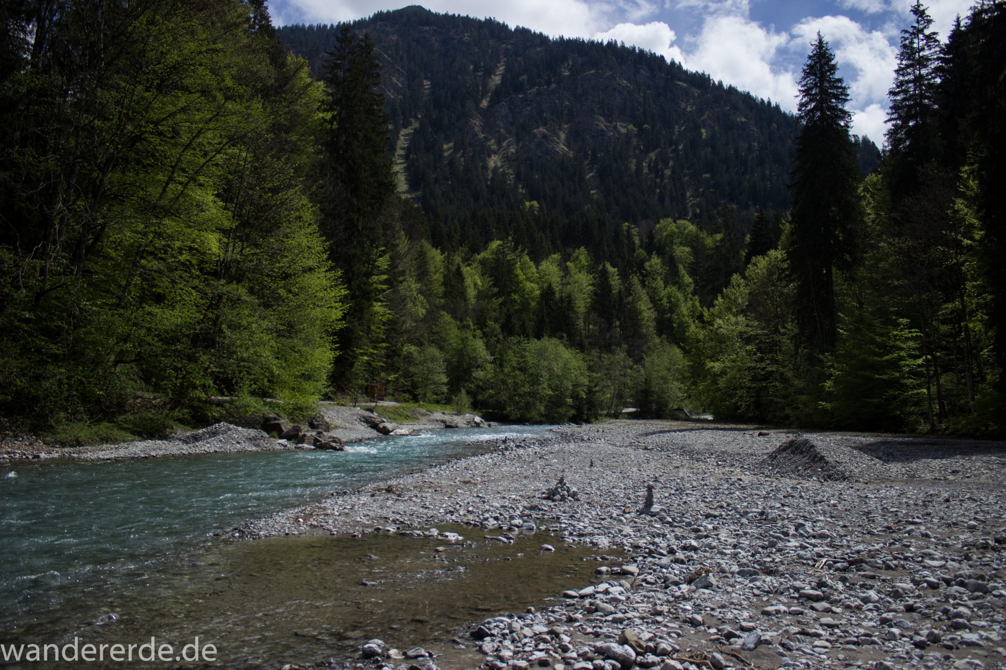 Wanderung Oberstdorf nach Gerstruben im Allgäu, Bayern, Wanderweg durch das Trettachtal, Aussicht auf Berge und Fluß Trettach, Ufer mit schönen Bäumen, sattgrüner Wald, Frühling in den Bergen