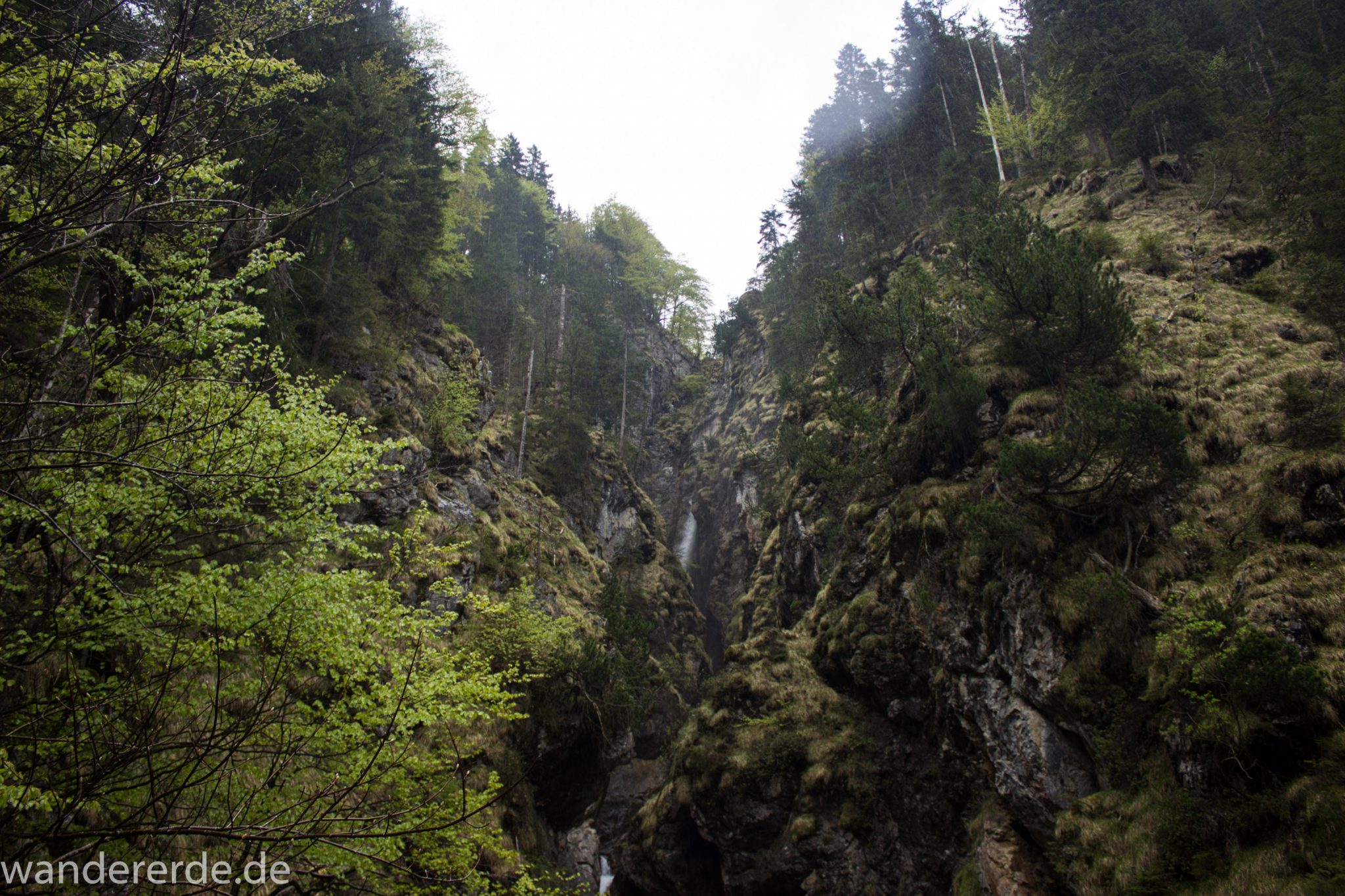 Wanderung Oberstdorf nach Gerstruben im Allgäu, Bayern, Wanderweg führt nach Bergbauerndorf Gerstruben über sehr empfehlenswerten aber steilen Weg Hölltobel mit Wasserfällen wieder abwärts, Aussicht auf Wasserfall in der Ferne