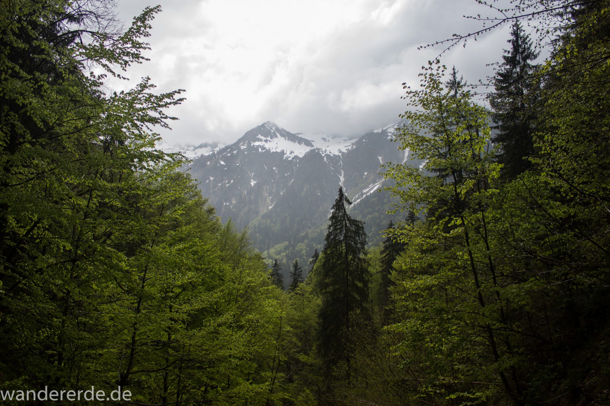 Wanderung Oberstdorf nach Gerstruben im Allgäu, Bayern, Wanderweg durch das Trettachtal, Aussicht auf schneebedeckte Berge, sattgrüne schöne Bäume und  Wiesen, Frühling in den Bergen