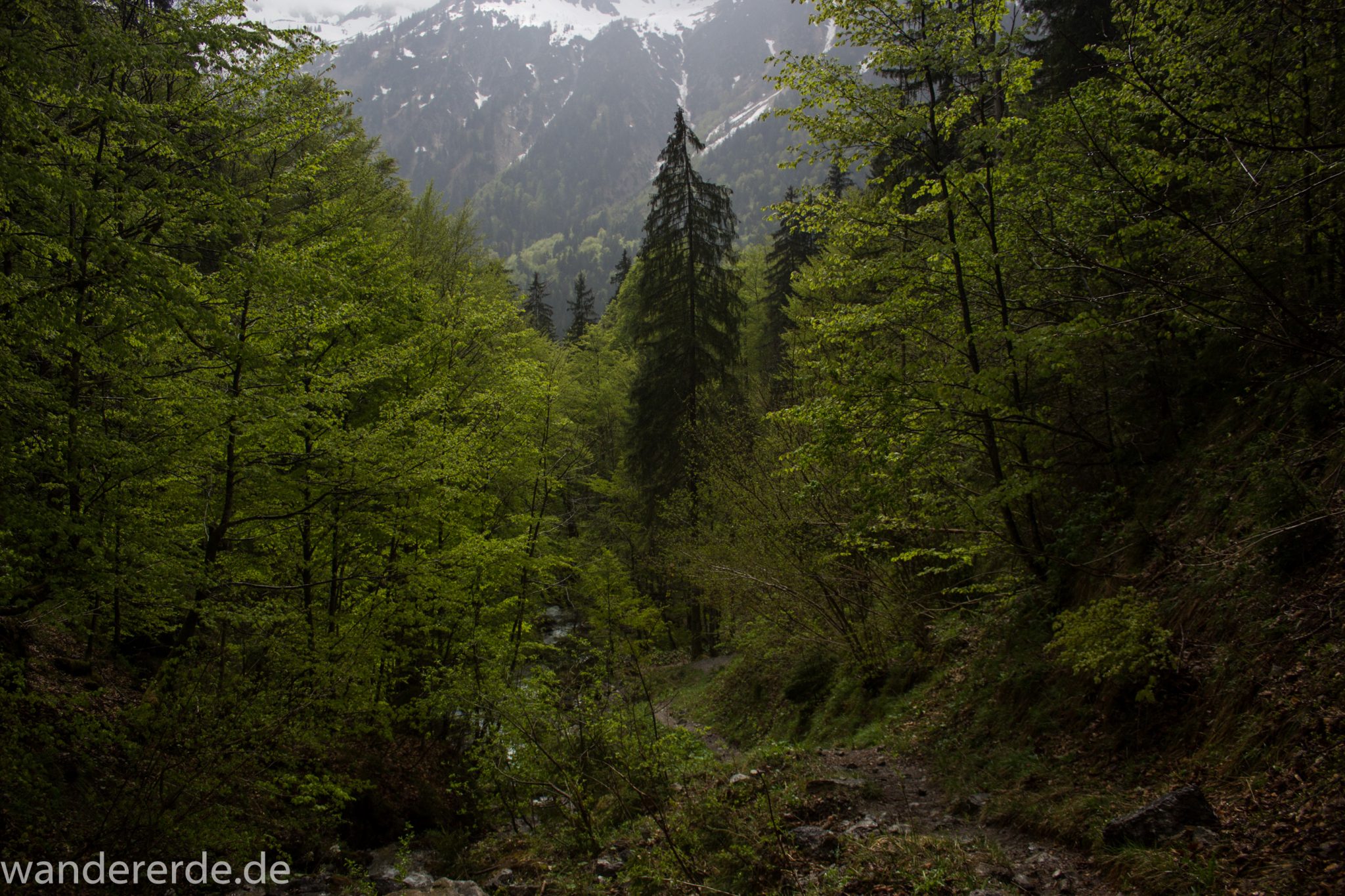 Wanderung Oberstdorf nach Gerstruben im Allgäu, Bayern, Wanderweg durch das Trettachtal, Aussicht auf schneebedeckte Berge, sattgrüne schöne Bäume und  Wiesen, Frühling in den Bergen