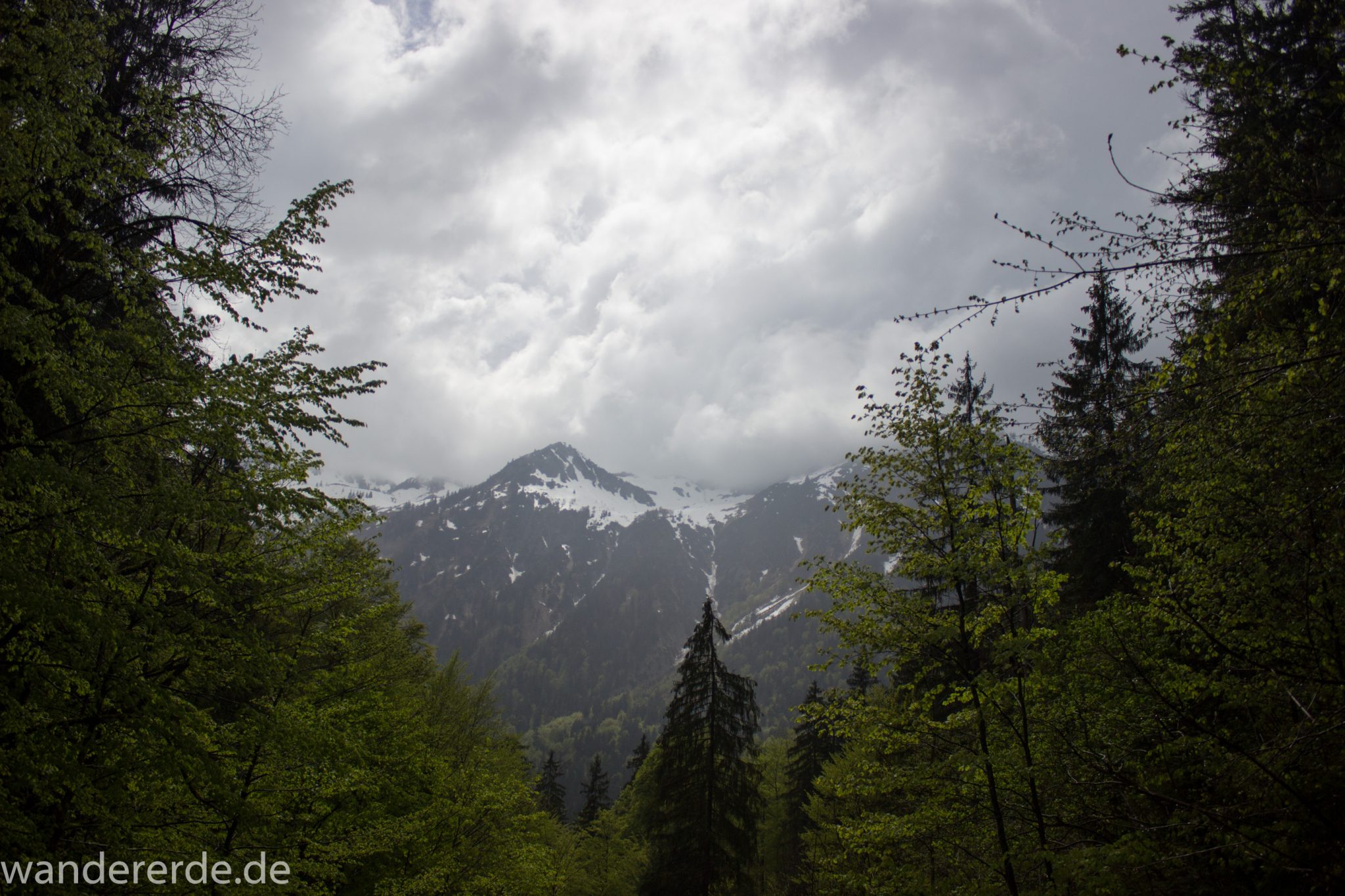 Wanderung Oberstdorf nach Gerstruben im Allgäu, Bayern, Wanderweg durch das Trettachtal, Aussicht auf schneebedeckte Berge, sattgrüne schöne Bäume und  Wiesen, Frühling in den Bergen