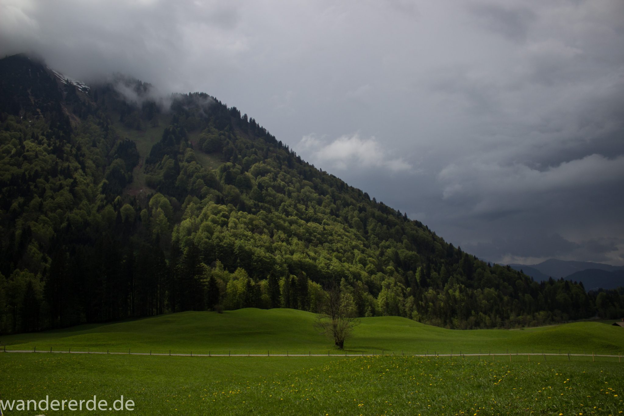 Wanderung Oberstdorf nach Gerstruben im Allgäu, Bayern, Wanderweg durch das Trettachtal, Aussicht auf schneebedeckte Berge, sattgrüne schöne Bäume und  Wiesen, Frühling in den Bergen