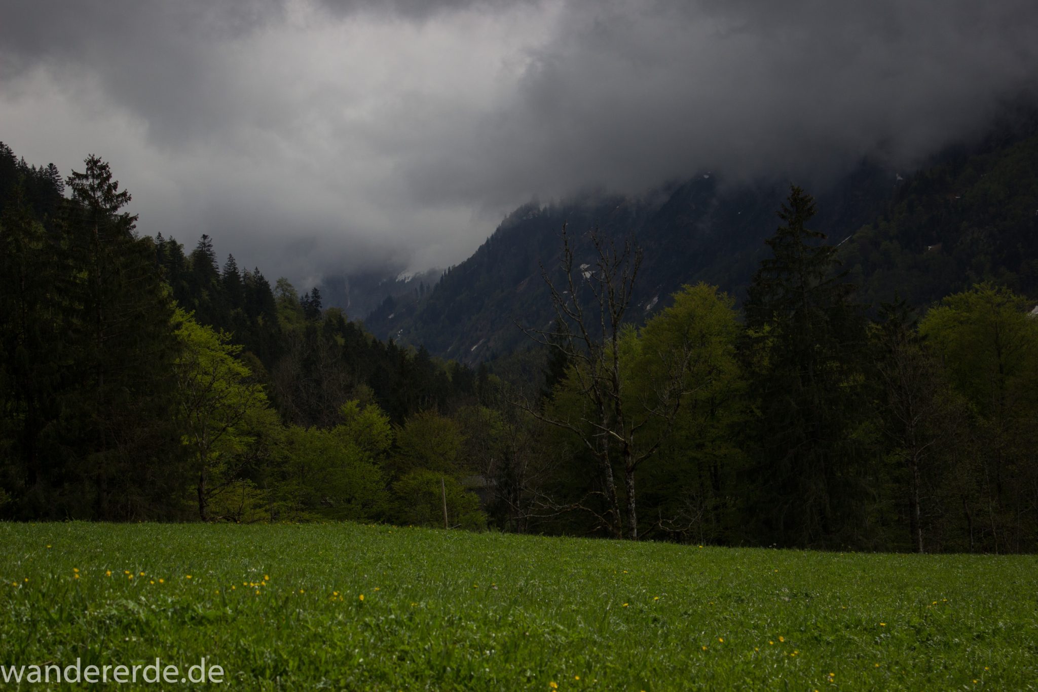 Wanderung Oberstdorf nach Gerstruben im Allgäu, Bayern, Wanderweg durch das Trettachtal, Aussicht auf schneebedeckte Berge, sattgrüne schöne Bäume und  Wiesen, Frühling in den Bergen