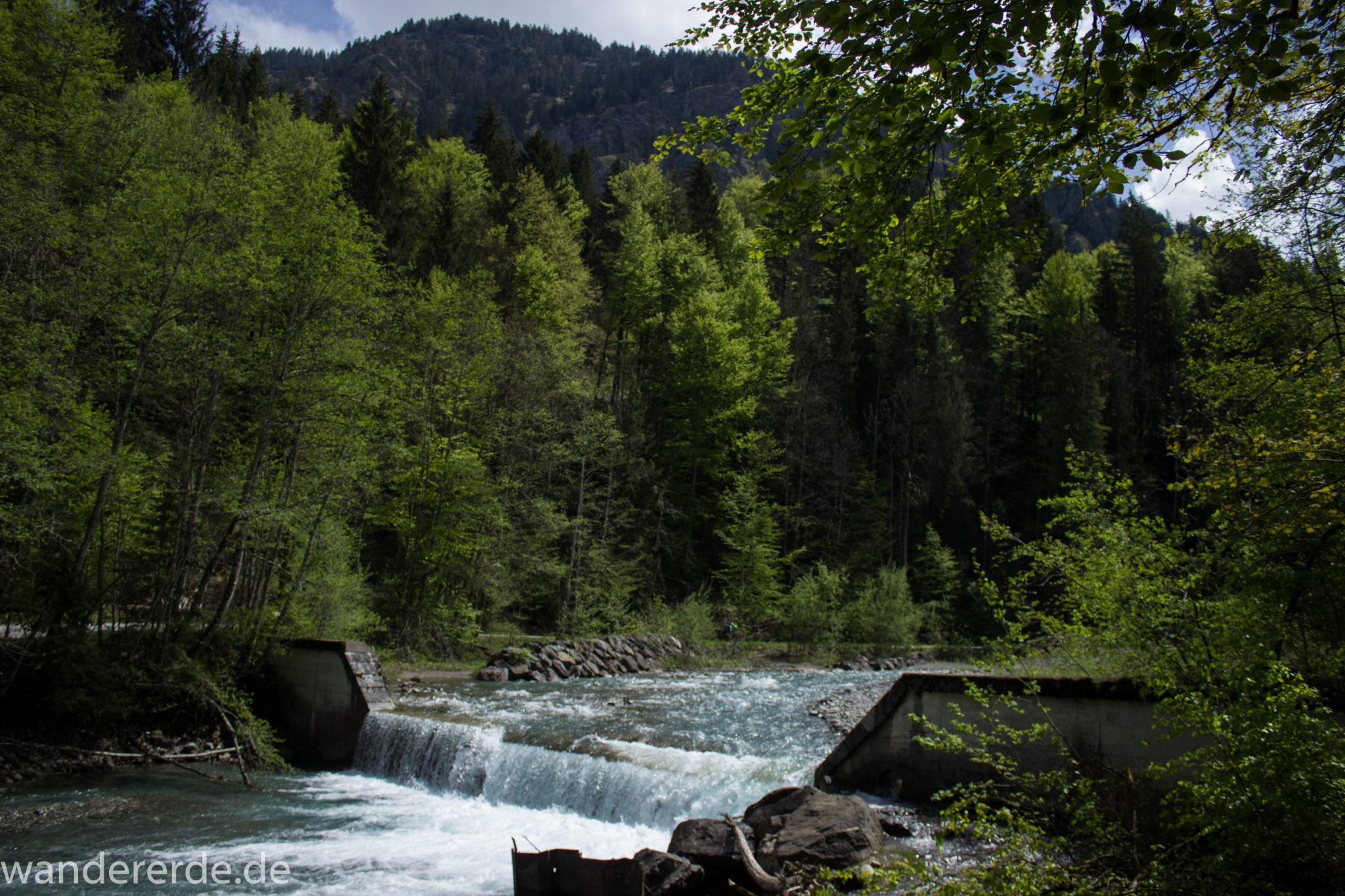 Wanderung Oberstdorf nach Gerstruben im Allgäu, Bayern, Wanderweg durch das Trettachtal, Aussicht auf Berge und Fluß Trettach, Ufer mit schönen Bäumen, sattgrüner Wald, Frühling in den Bergen