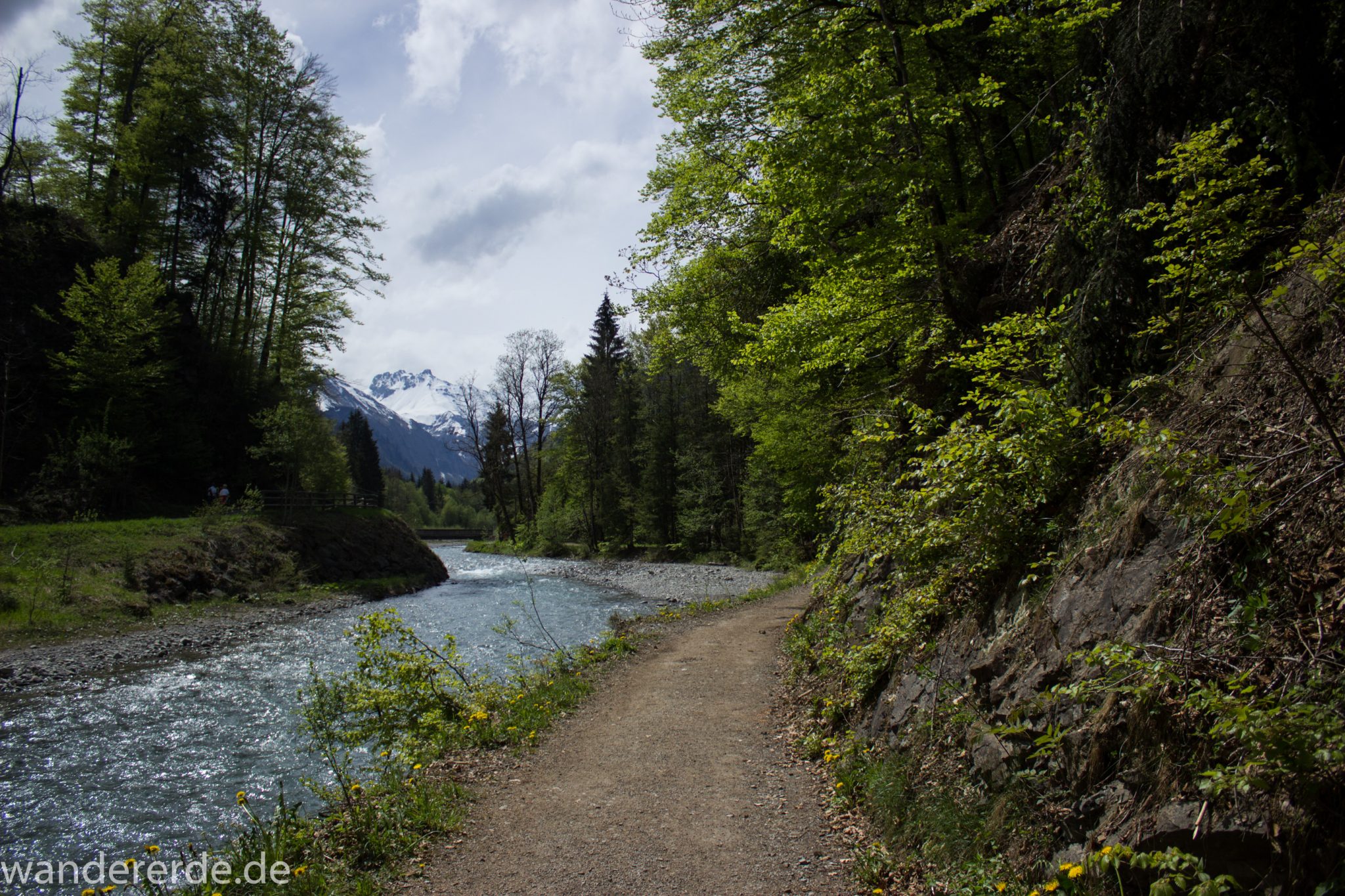 Wanderung Oberstdorf nach Gerstruben im Allgäu, Bayern, Wanderweg durch das Trettachtal, Aussicht auf Berge und Fluß Trettach, Ufer mit schönen Bäumen, sattgrüner Wald, Frühling in den Bergen