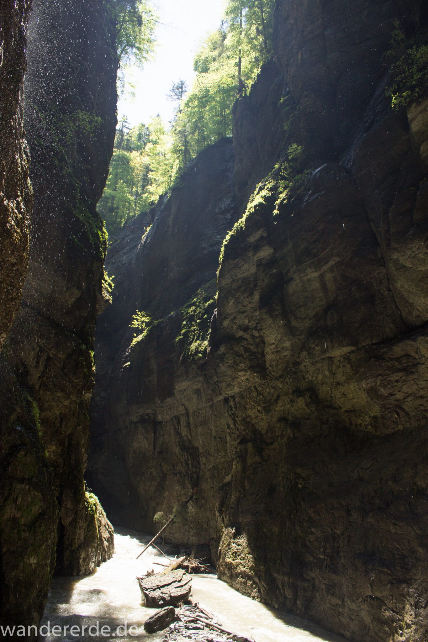 Rundwanderung Partnachklamm im Wettersteingebirge bei Garmisch-Partenkirchen, Bayern, steil aufragende Felswände, Licht strahlt von oben in die Klamm, oben wächst ein dichter grüner Wald, kühl und nass