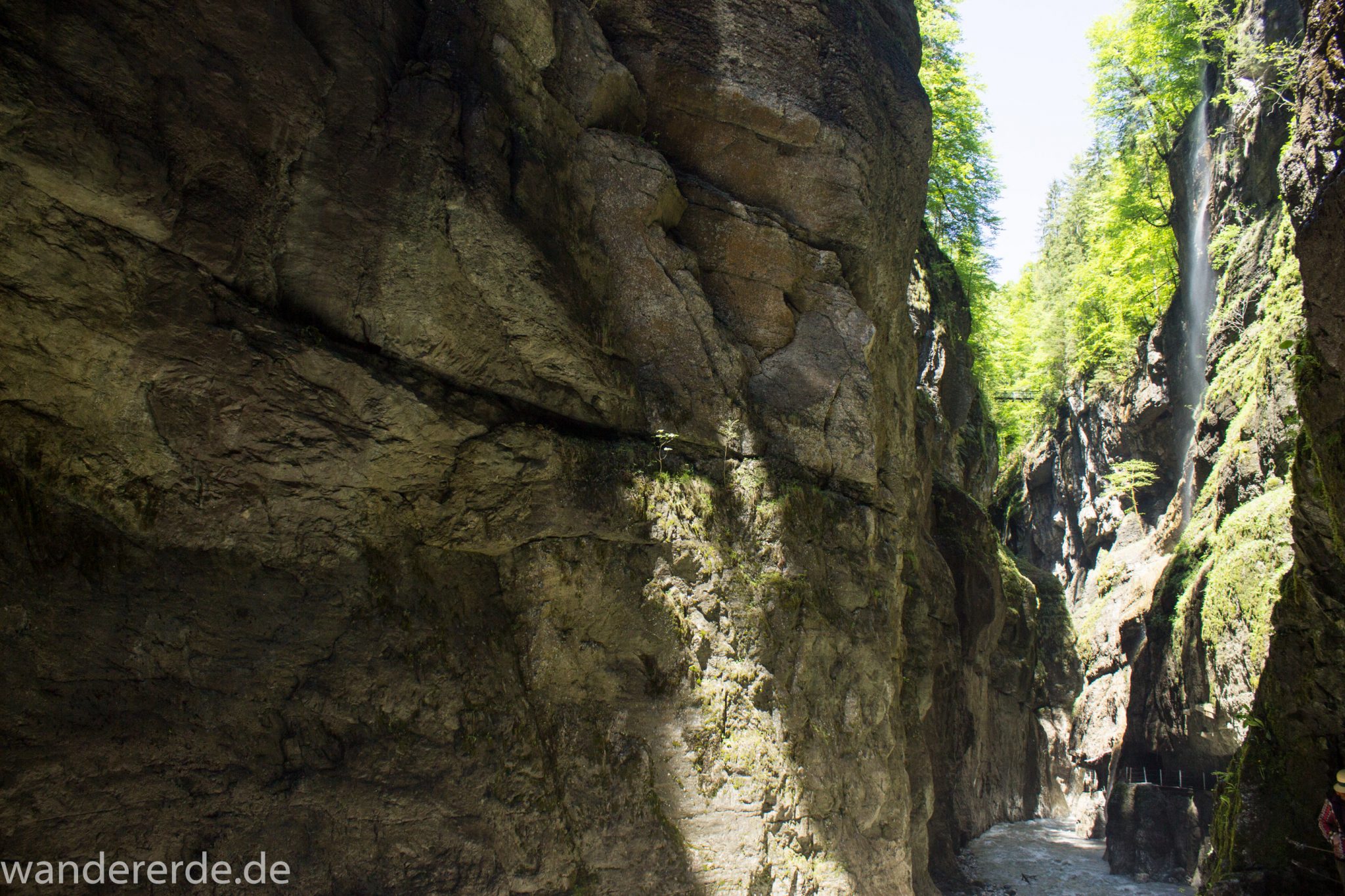 Rundwanderung Partnachklamm im Wettersteingebirge bei Garmisch-Partenkirchen, Bayern, steil aufragende Felswände, Licht strahlt von oben in die Klamm, gesicherter Wanderweg in den Fels gehauen, kühl und nass, an Felswand bildet sich kleiner Wasserfall, Fluss Partnach bahnt sich seinen Weg durch die Klamm, oberhalb der Partnachklamm wächst schöner, dichter Wald