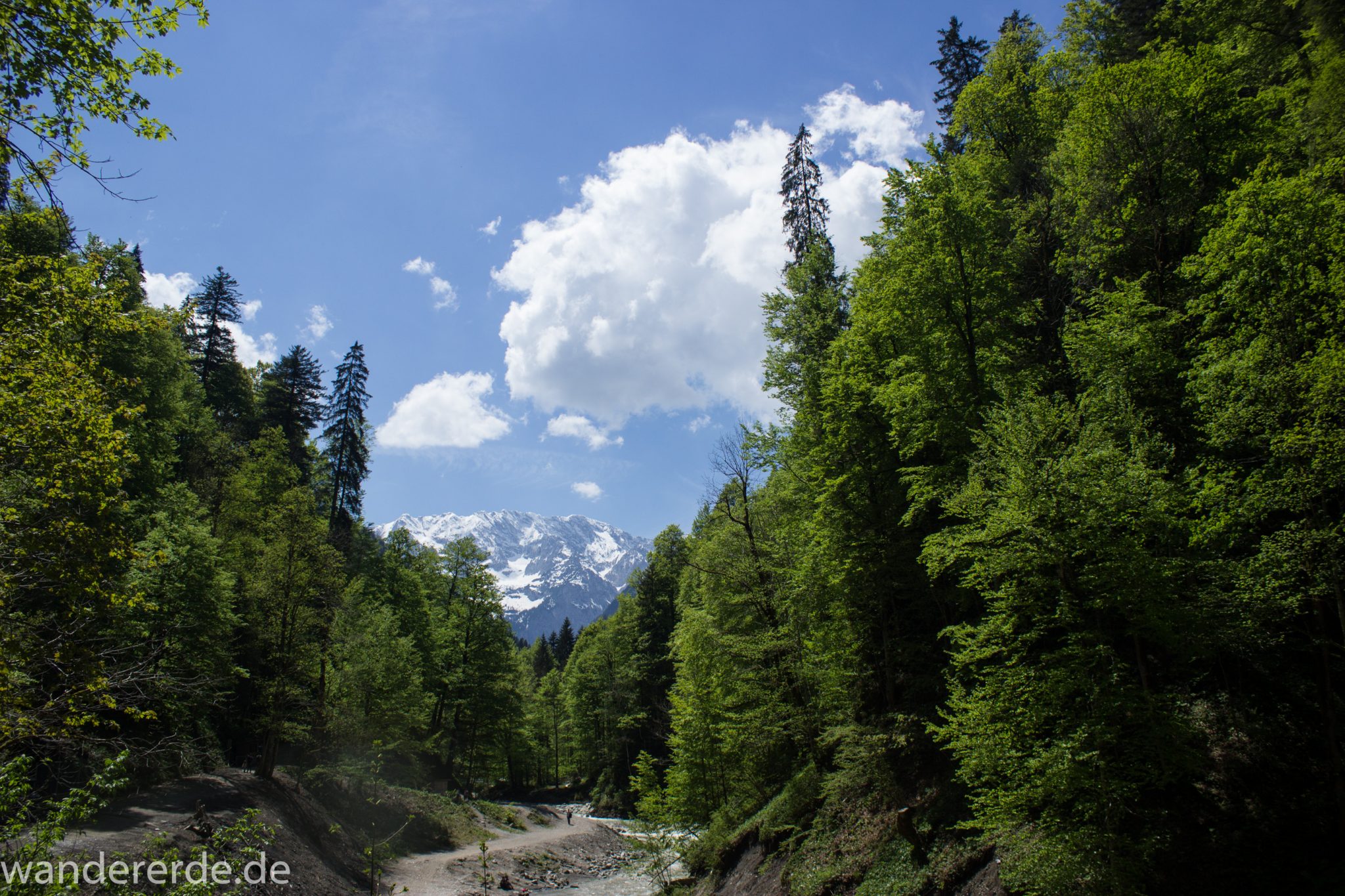 Rundwanderung Partnachklamm im Wettersteingebirge bei Garmisch-Partenkirchen, Bayern, Wanderweg hinter der Partnachklamm führt durch schönen, dichten Mischwald, in der Ferne Blick auf schneebedeckte Berge