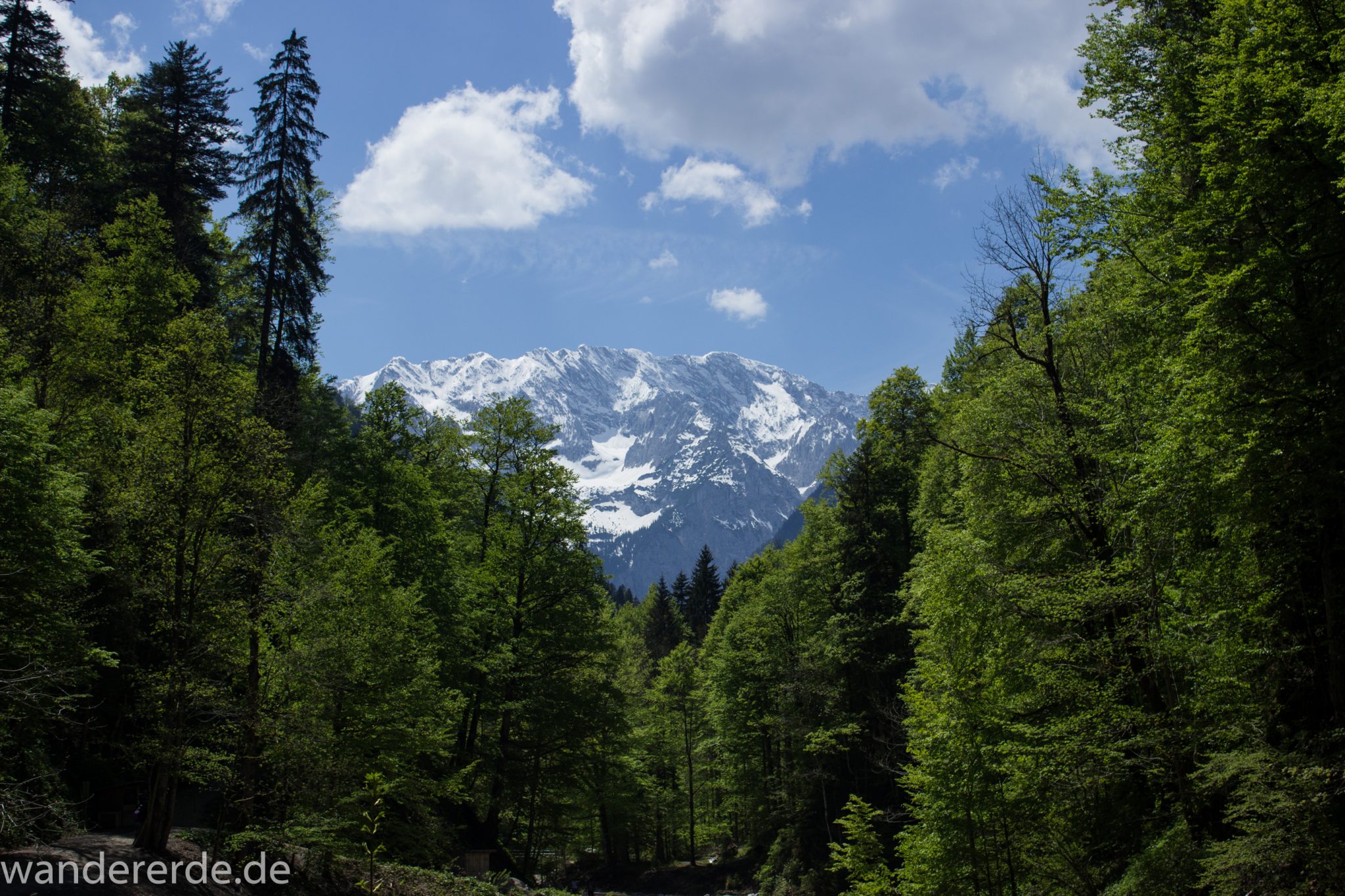 Rundwanderung Partnachklamm im Wettersteingebirge bei Garmisch-Partenkirchen, Bayern, Wanderweg hinter der Partnachklamm führt durch schönen, dichten Mischwald, die Sonne wärmt wieder nachdem es in der Klamm ziemlich kühl war, in der Ferne Blick auf schneebedeckte Berge