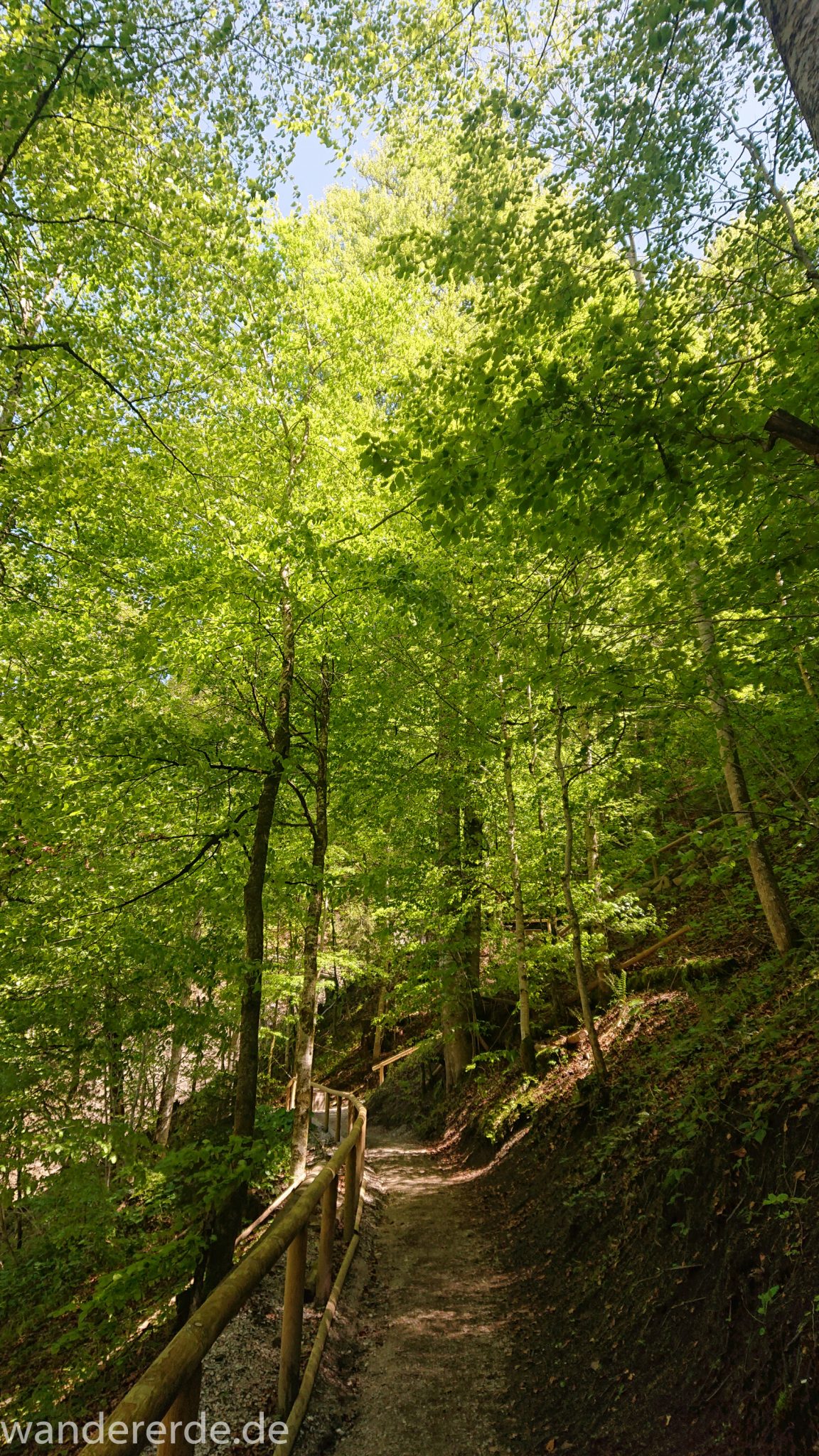 Rundwanderung Partnachklamm im Wettersteingebirge bei Garmisch-Partenkirchen, Bayern, Wanderweg hinter der Partnachklamm ist ein schmaler Pfad und führt durch schönen, dichten Mischwald, die Sonne wärmt wieder nachdem es in der Klamm ziemlich kühl war